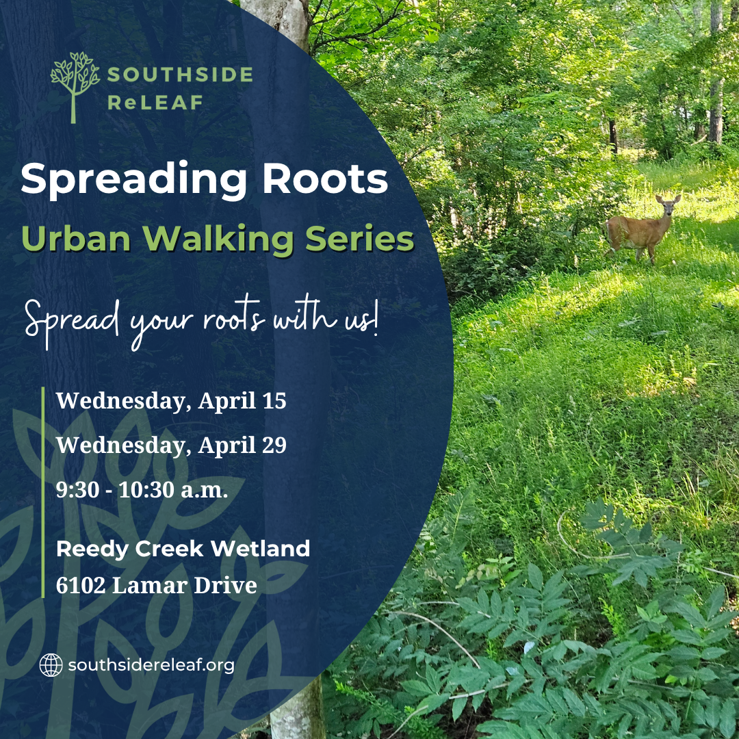 Spreading Roots Urban Forest Walking Series — April 15