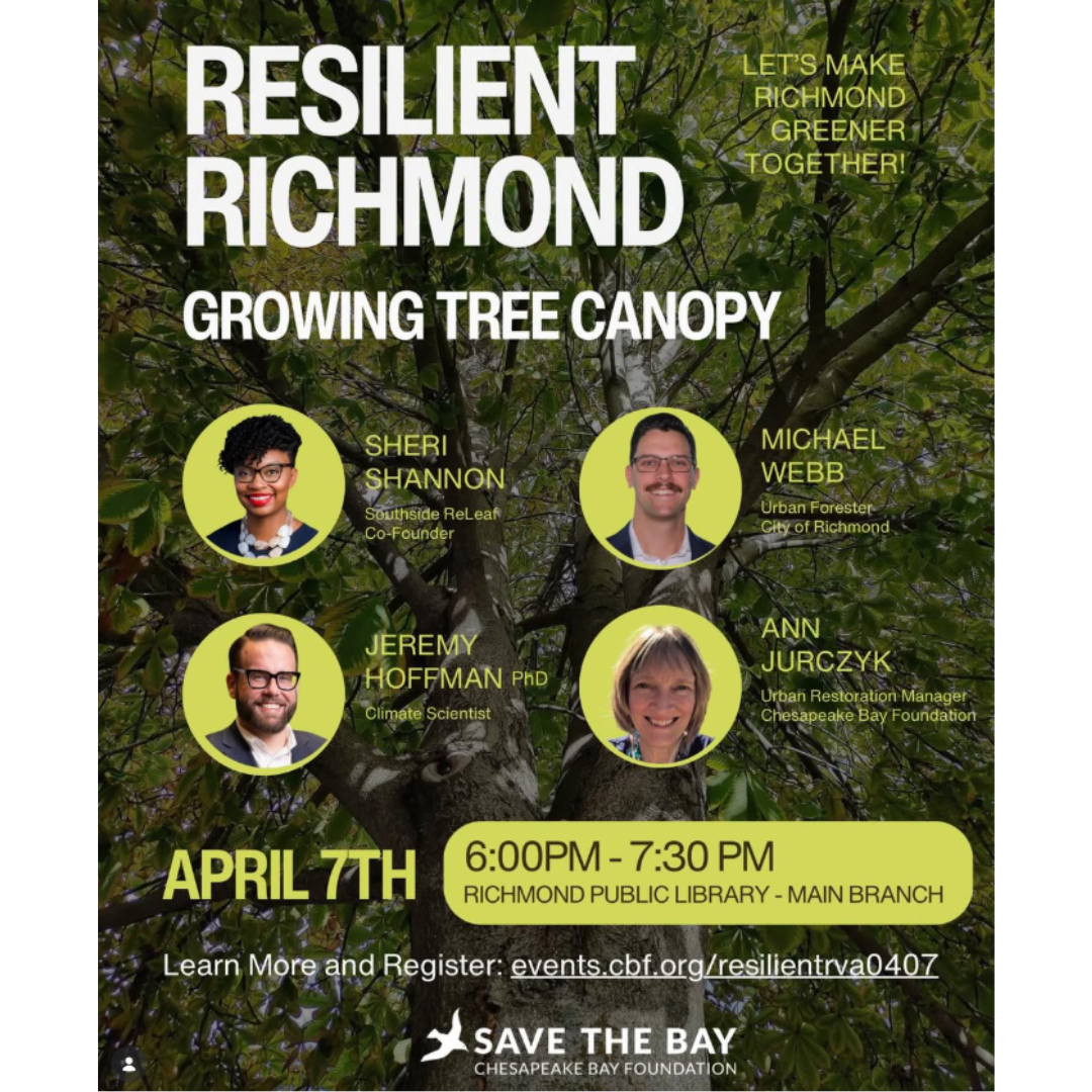 Resilient Richmond: Growing Tree Canopy