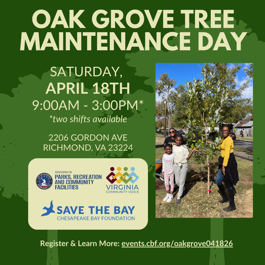 Oak Grove Tree Maintenance Day