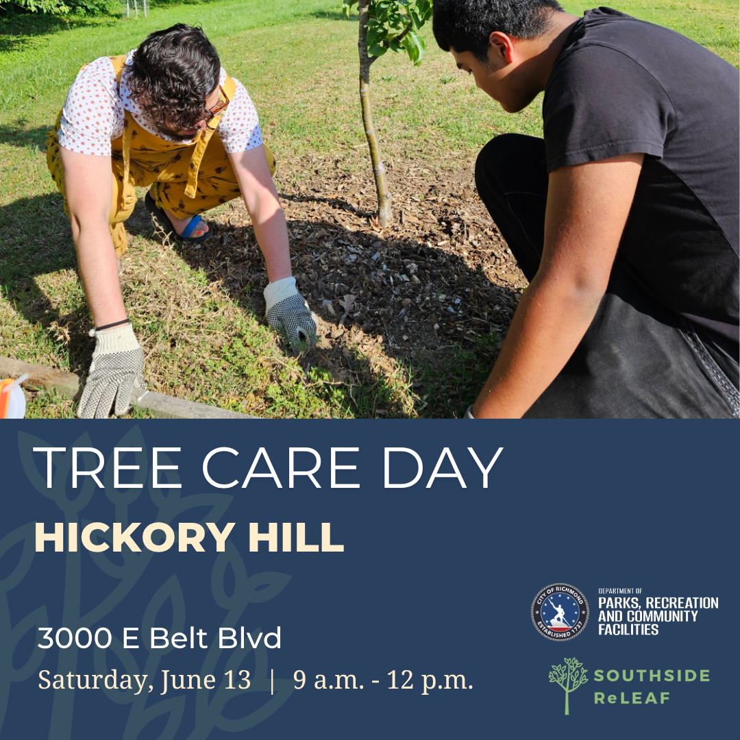 Tree Care Day at Hickory Hill Community Center