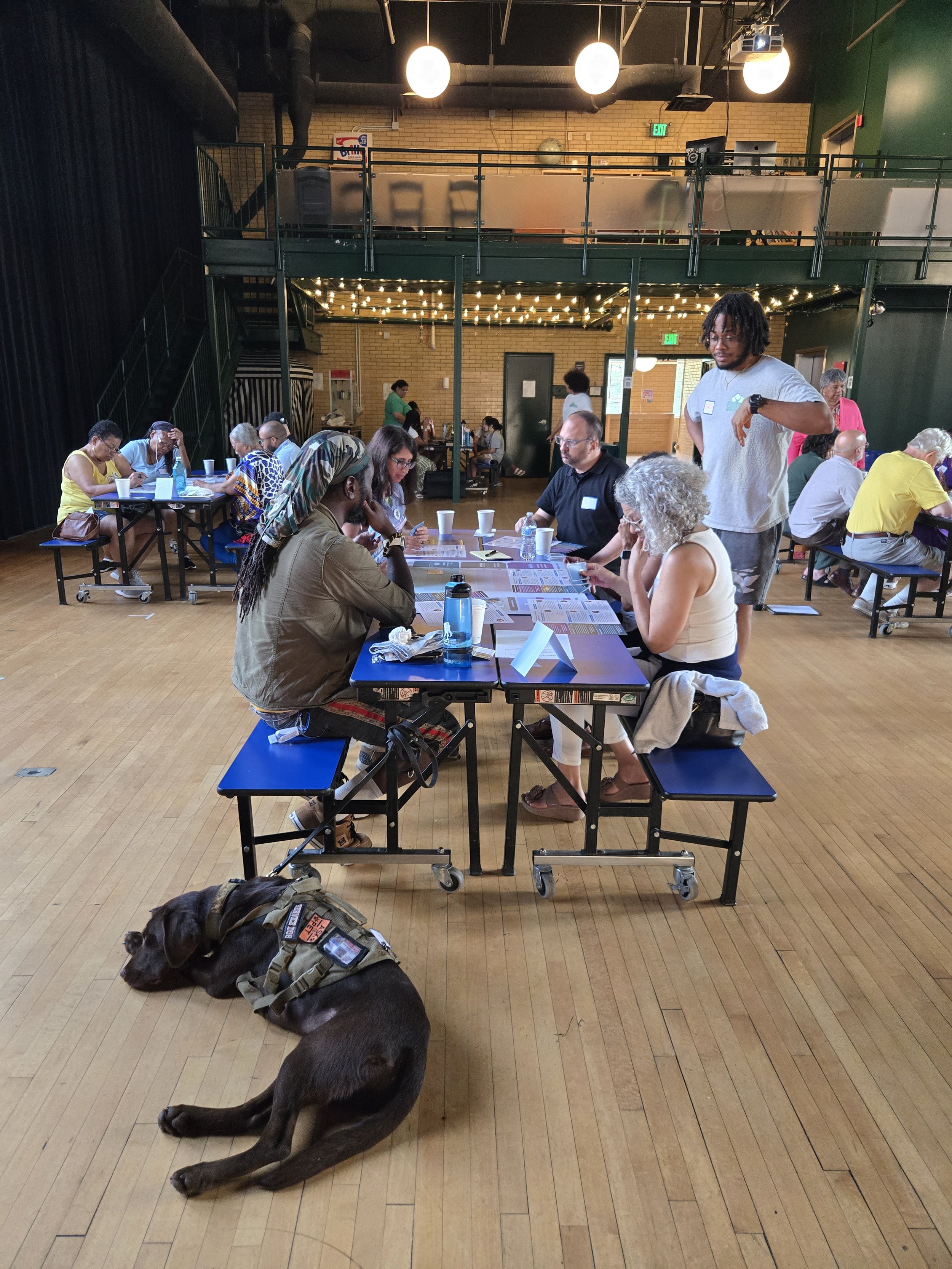 Engaging Residents Through the Cool the City Forums
