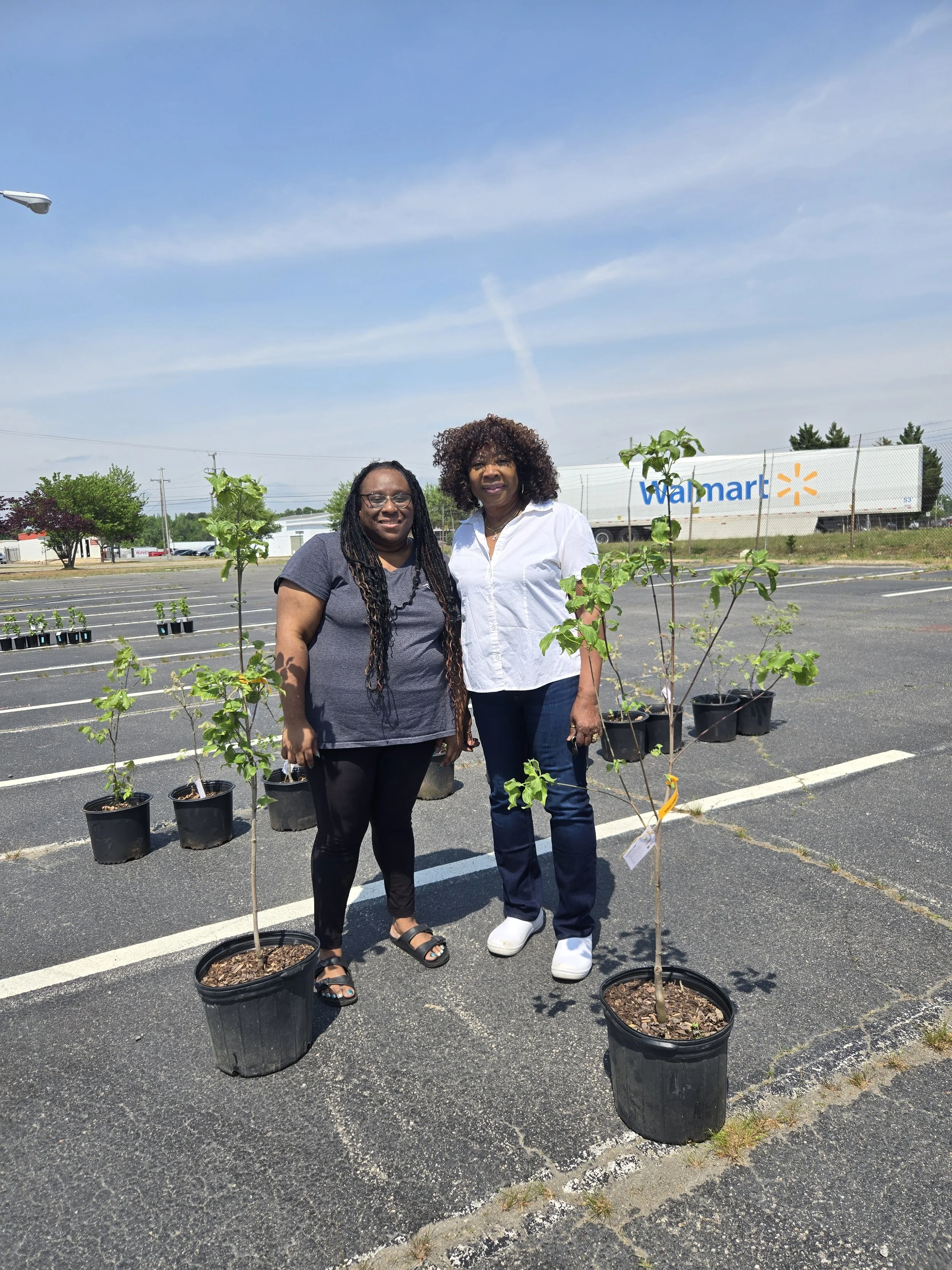 Distributing 325 Trees Through the Cool the City Free Tree Giveaway