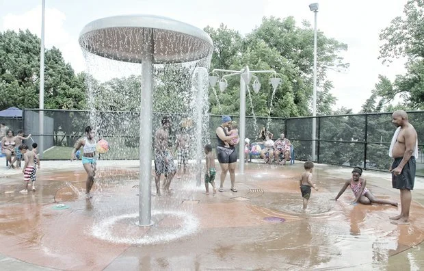 Summer Recommendations from Southside ReLeaf