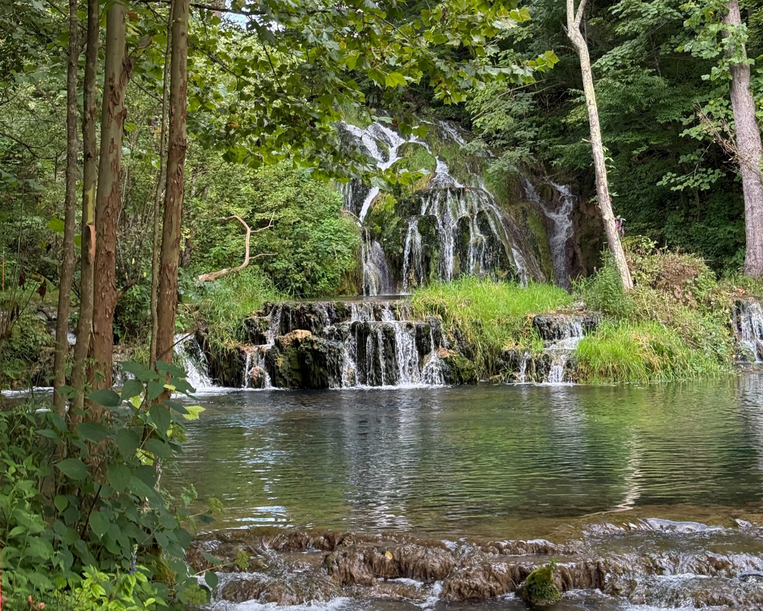 Protecting Clean Water &amp; Chesapeake Bay Restoration