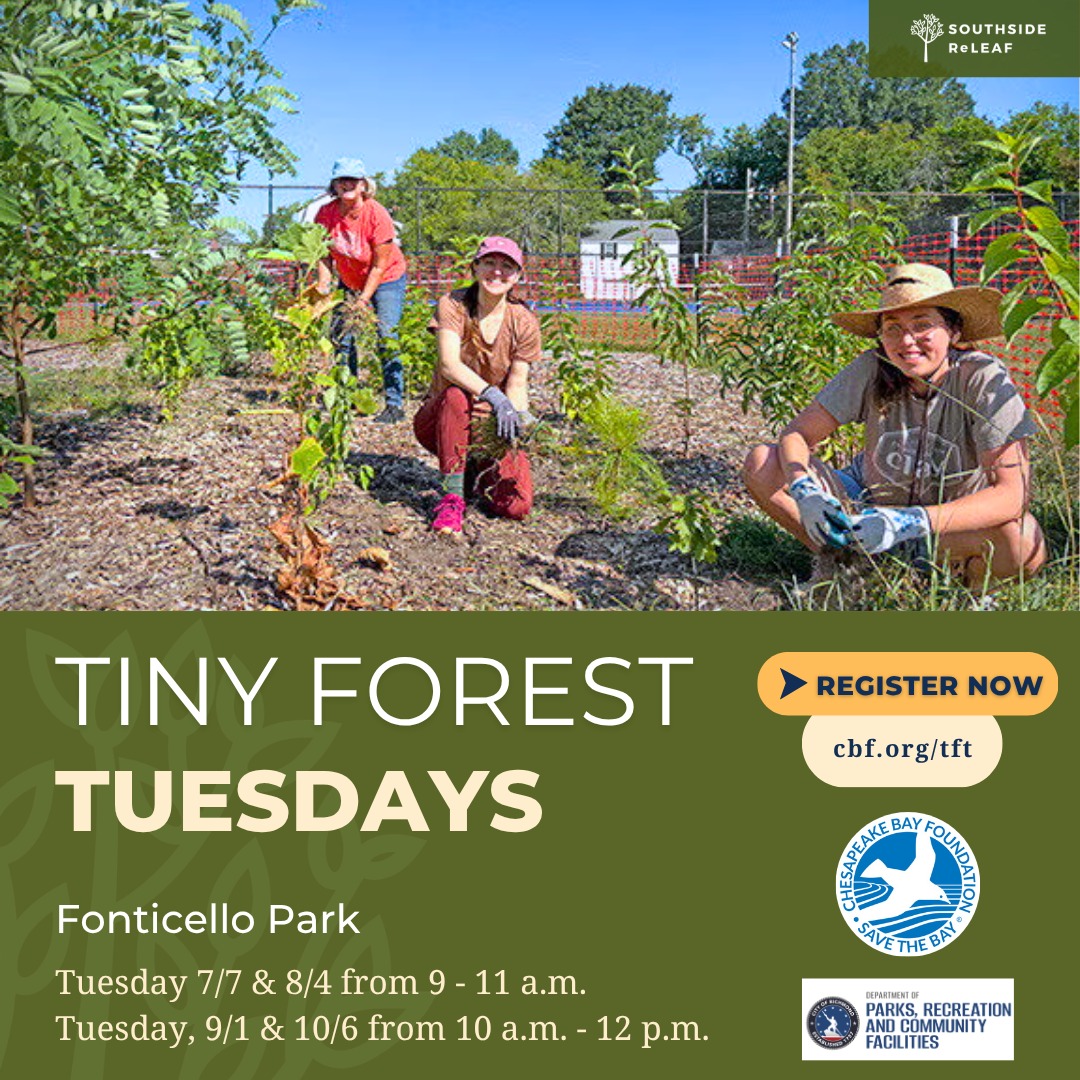 Tiny Forest Tuesdays - July 7
