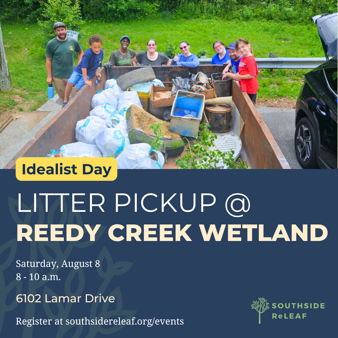 Idealist Day: Litter Pickup at Reedy Creek Wetland