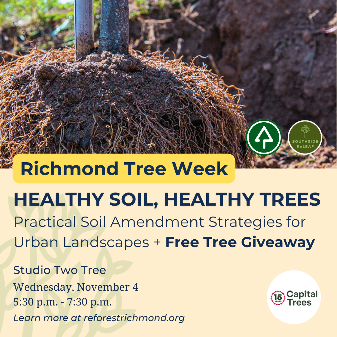 Healthy Soil, Healthy Trees: Practical Soil Amendment Strategies for Urban Landscapes &amp; <span class="sqsrte-text-color--accent">Free Tree Giveaway</span>