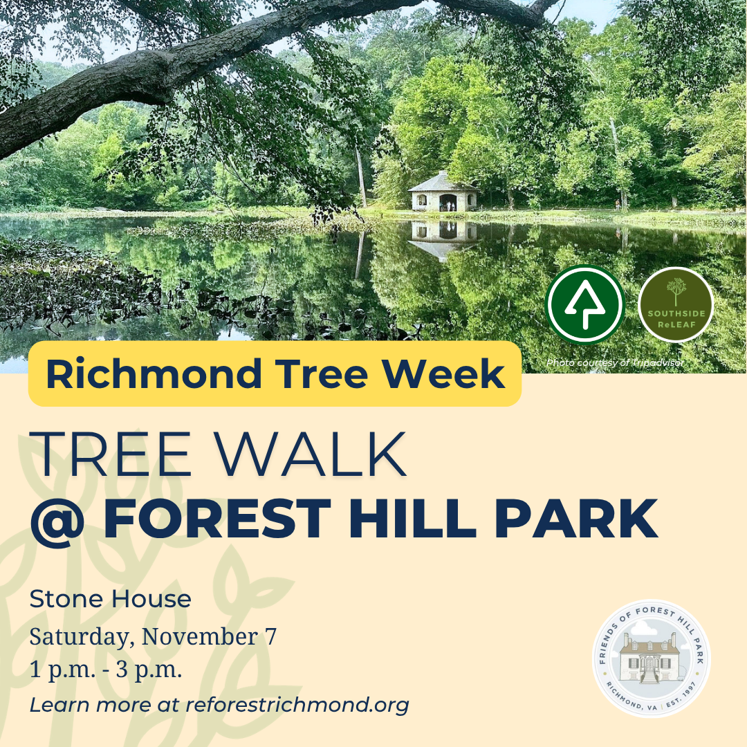 Tree Walk in Forest Hill Park
