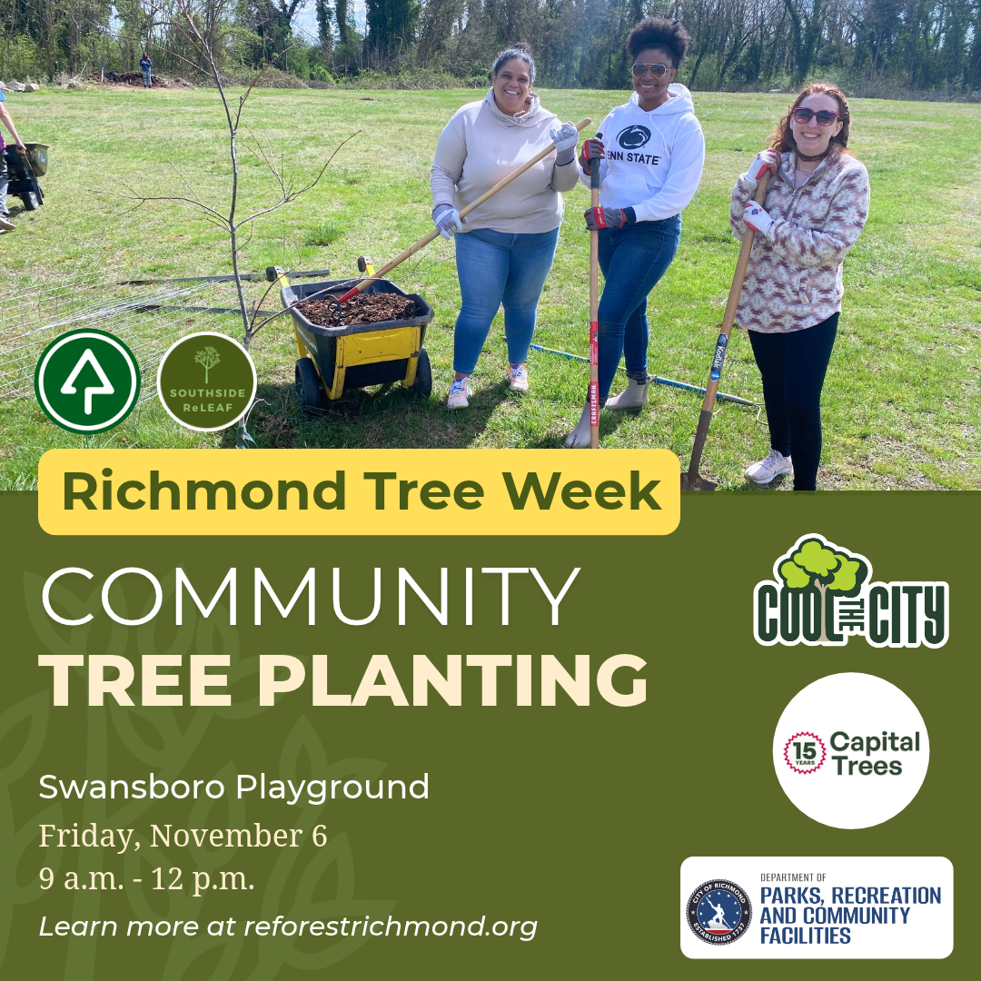 Community Tree Planting at Swansboro Playground