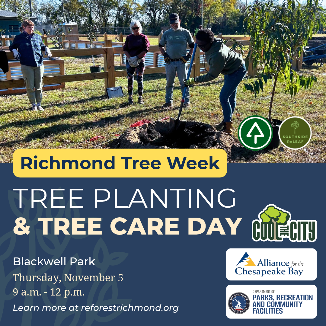 Blackwell Park Tree Planting, Tree Care, and Litter Pick Up