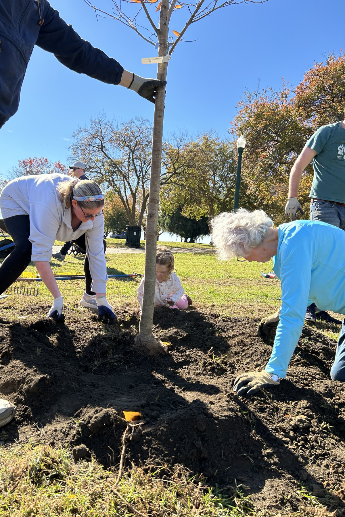 A group of volunteers (adults and one child) use gloved hands to push dirt back into the hole of the tree they just planted.