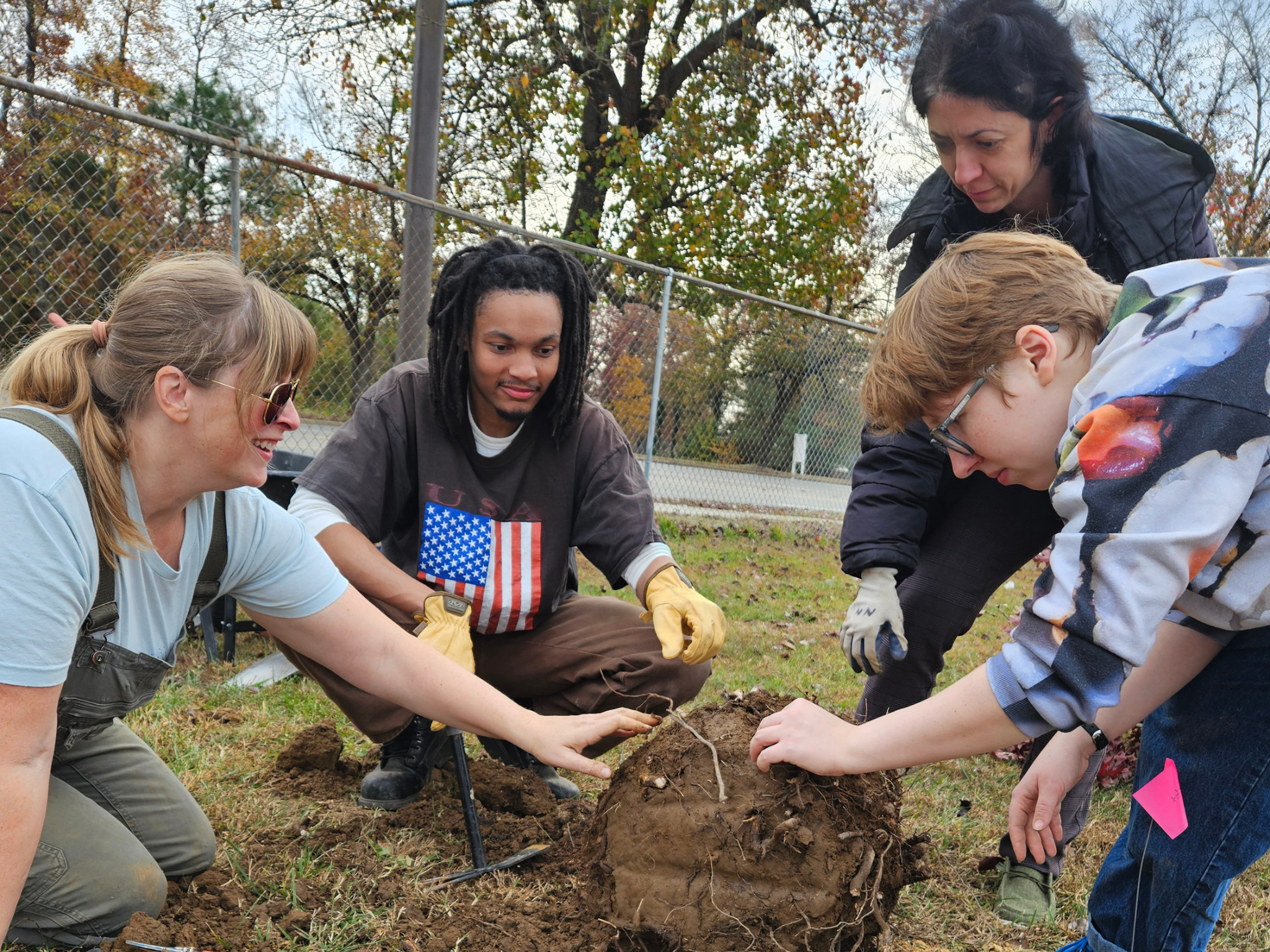 Four volunteers work together to prepare a root ball for planting.