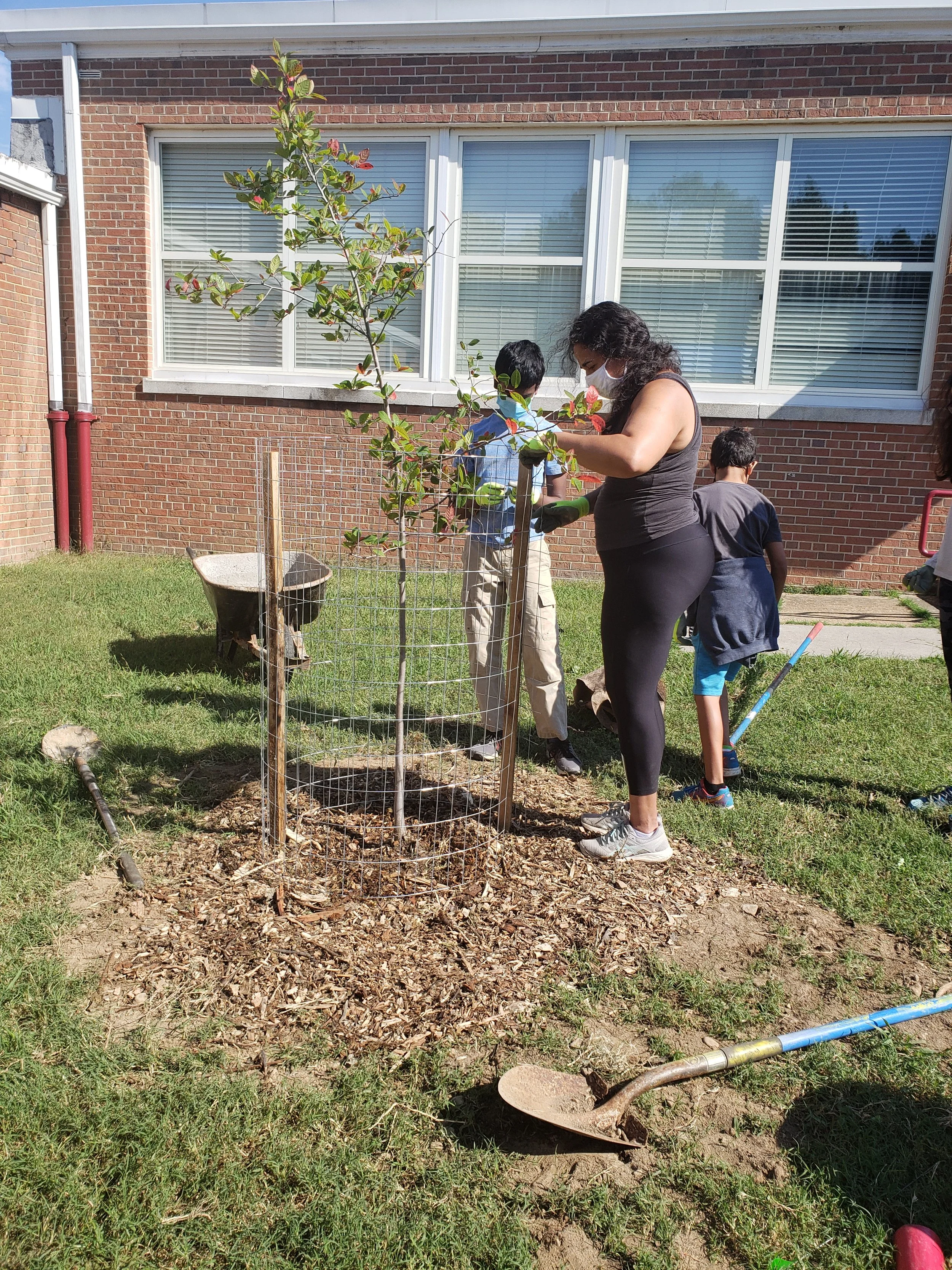 A family installs stakes and a cage around their newly planted tree during a volunteer tree planting at Hickory Hill.