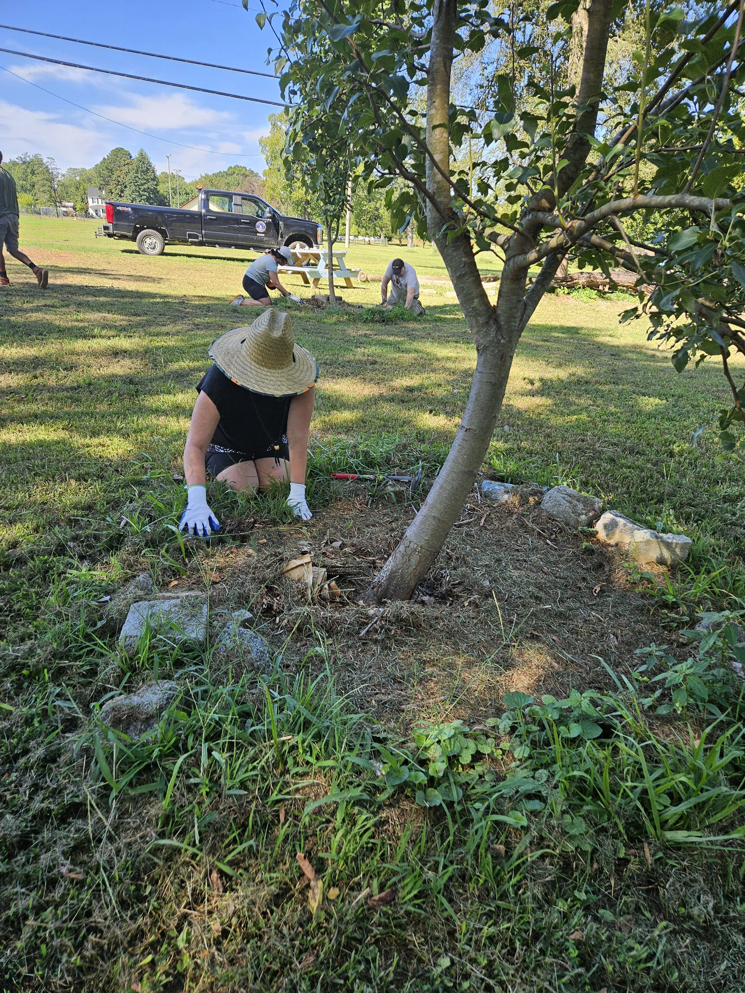 A Tree Ambassador trainee weeds around a tree at Fonticello Food Forest during a hands-on training about tree care.