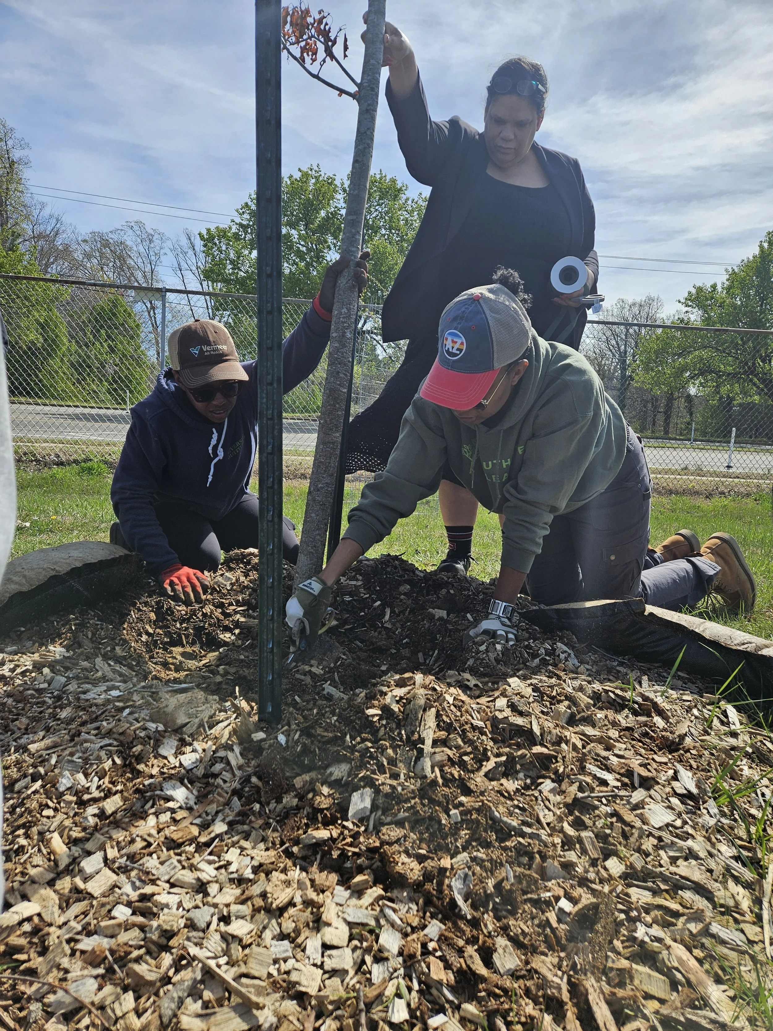 The Southside ReLeaf team recently gathered with volunteers to provide care for young trees we planted at Boushall Middle School last fall.