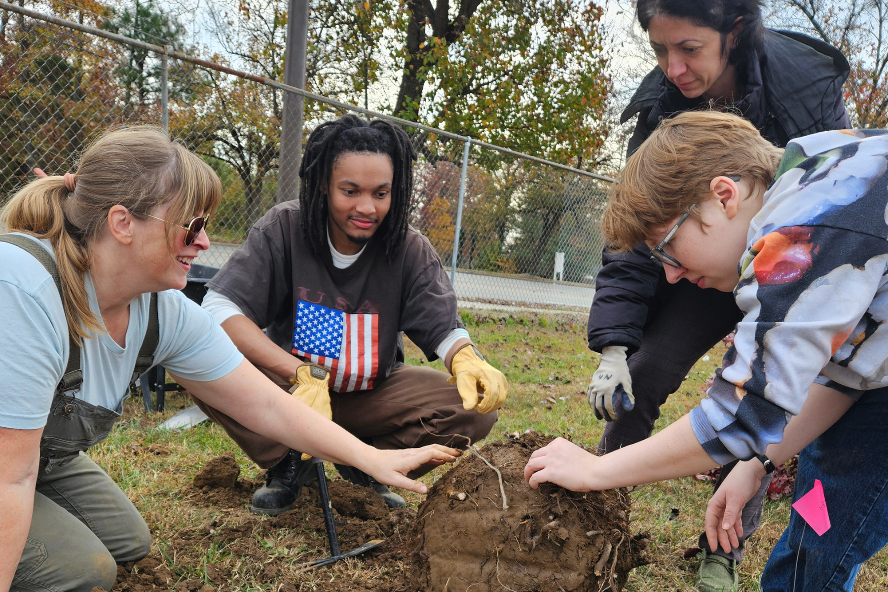 Four volunteers prepare the root ball of a tree for planting at Boushall Middle School.