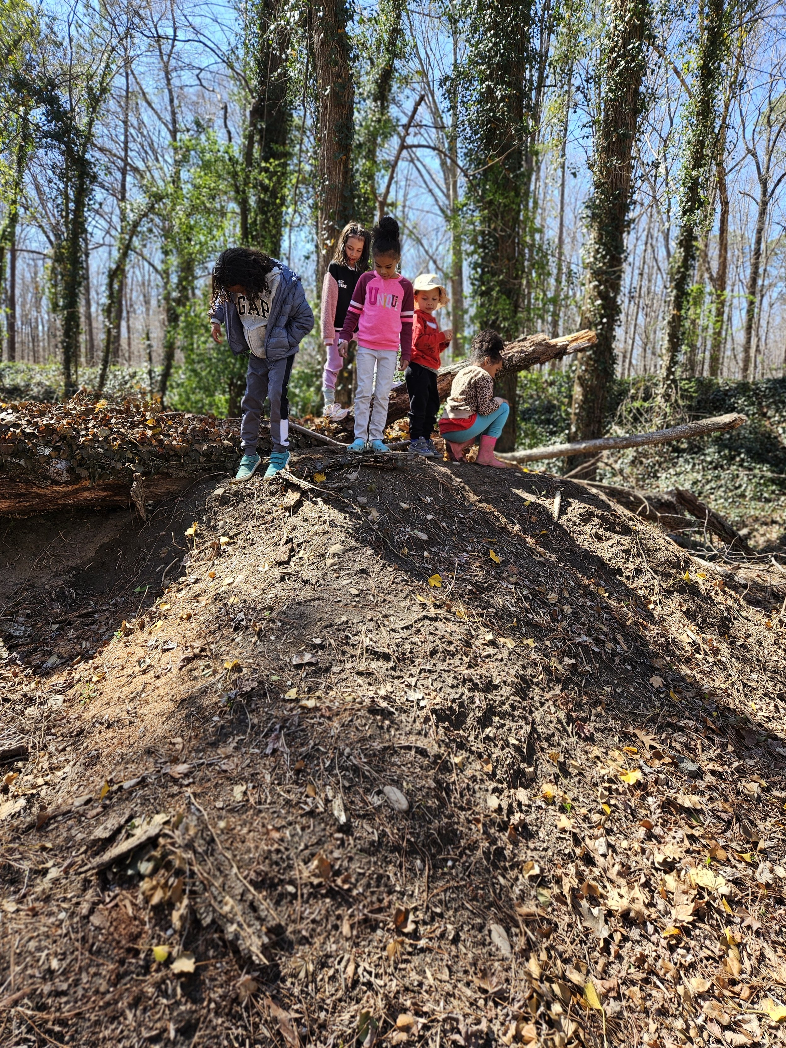 Five youths play on a dirt mound during an outdoor learning classroom at Ernest Road Park.