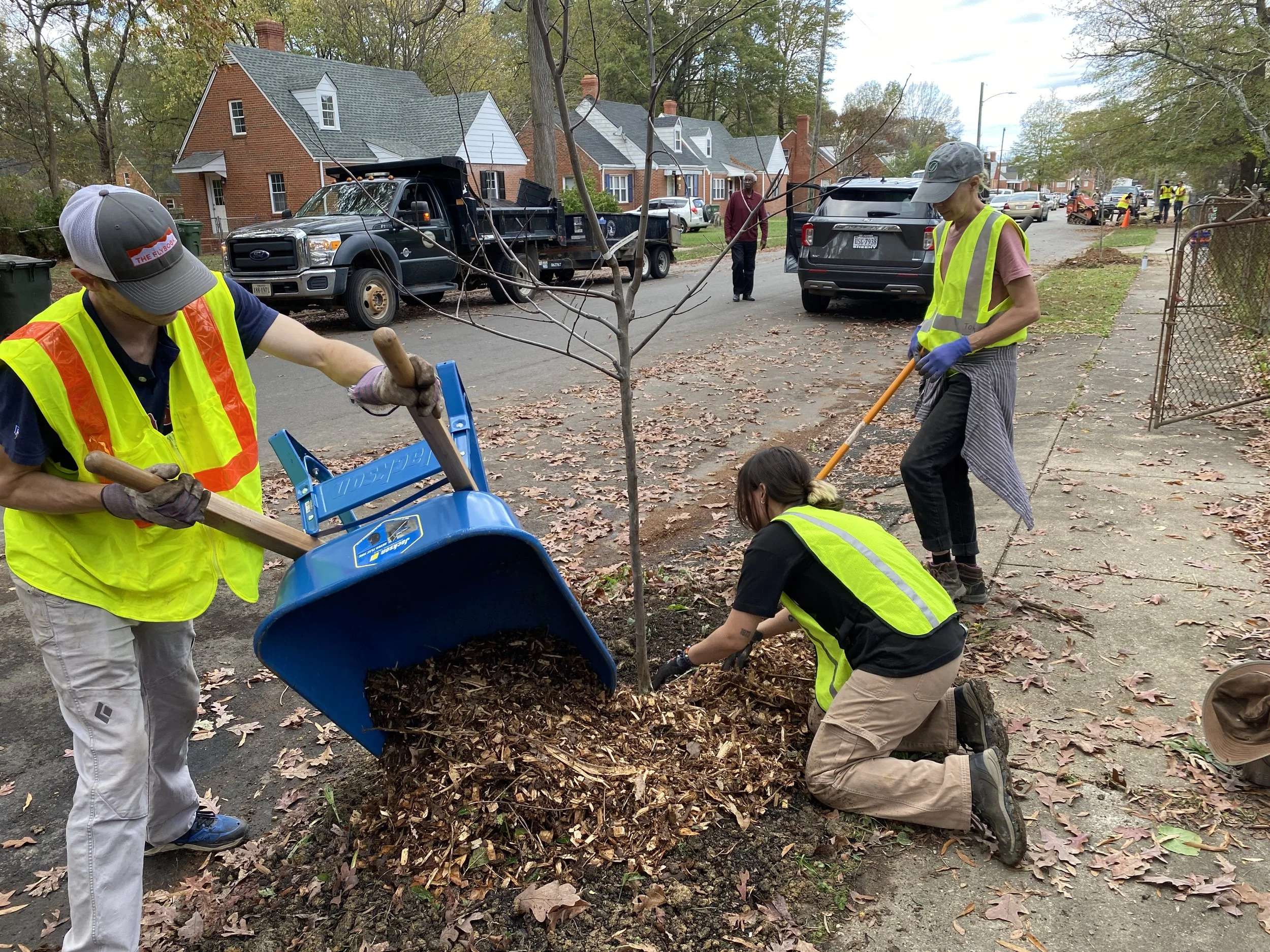 Three volunteers work together to mulch a newly planted tree at Davee Gardens. One volunteer pours the mulch out from a wheelbarrow while the other two spread it around the tree.