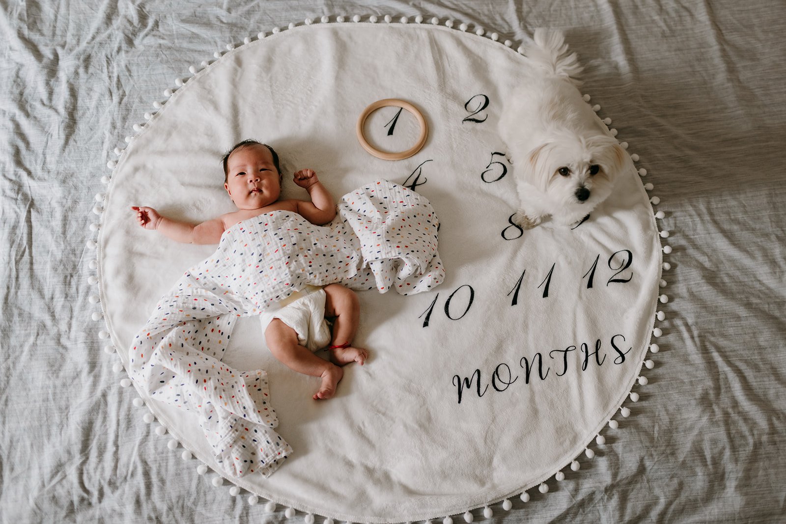 newborn-calendar-with-dog.jpg