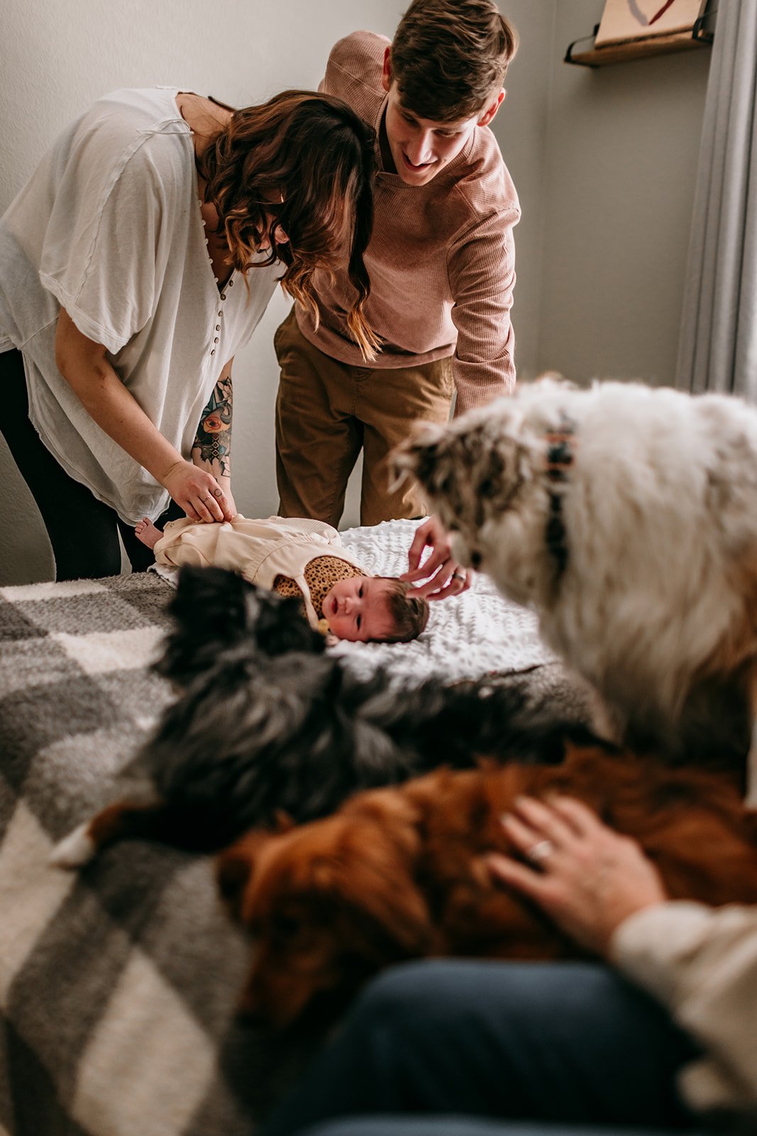 dogs-and-newborn-bedroom.jpg