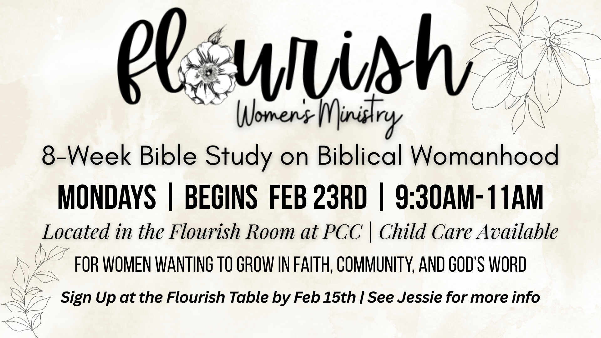 Biblical Womanhood Bible Study 