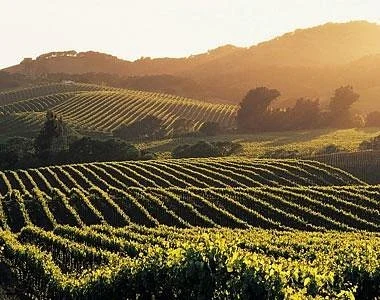 Atlas of Wine: Sonoma Valley