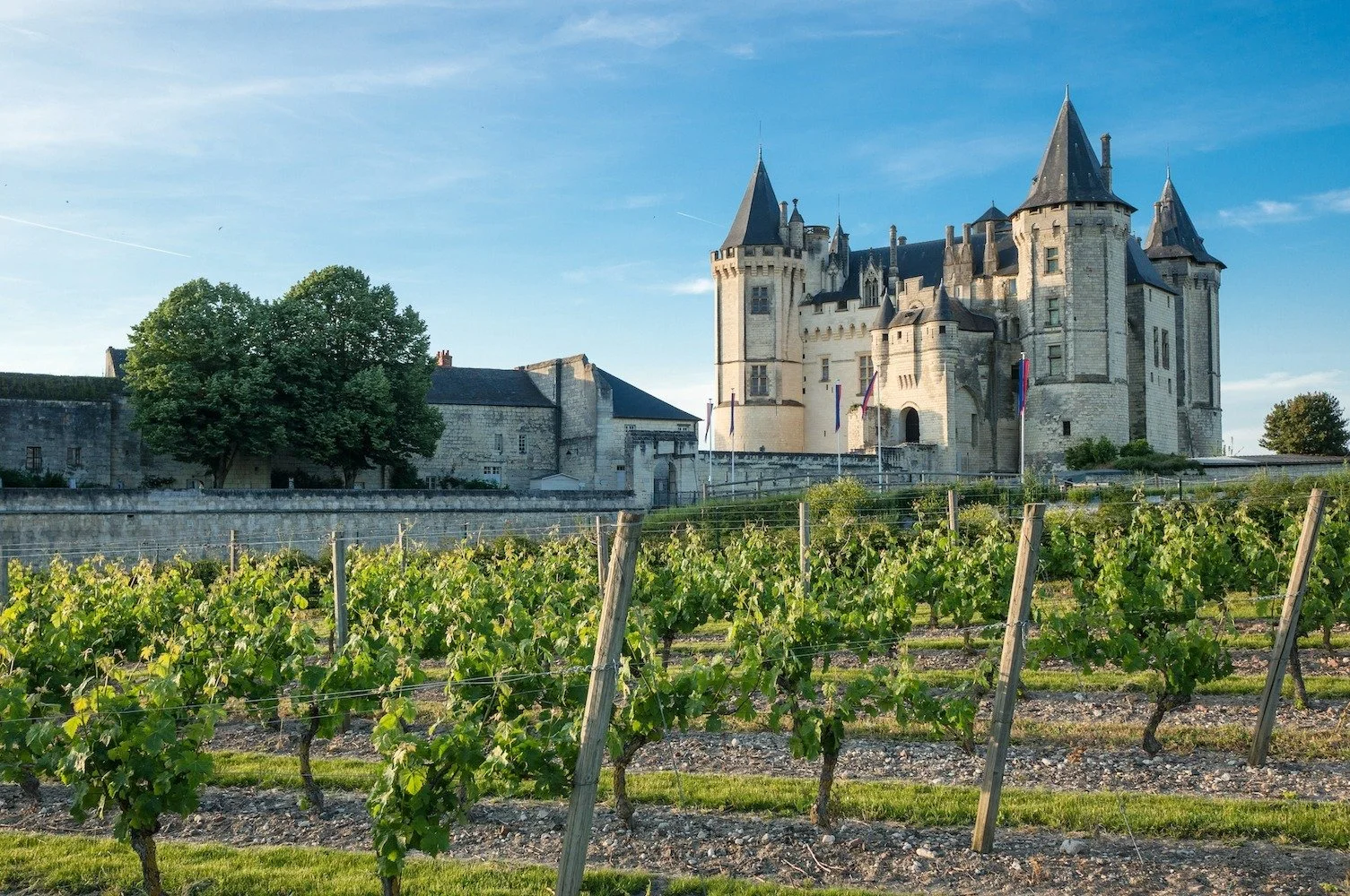 Atlas of Wine: The Loire Valley