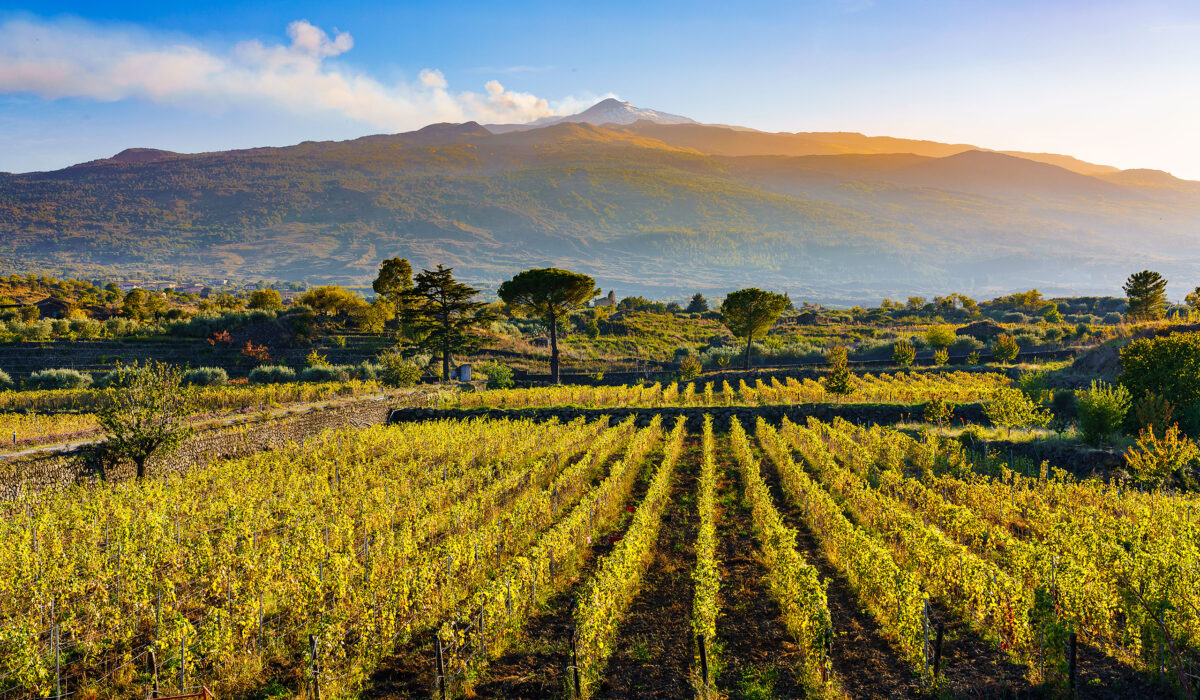 Atlas of Wine: Sicily