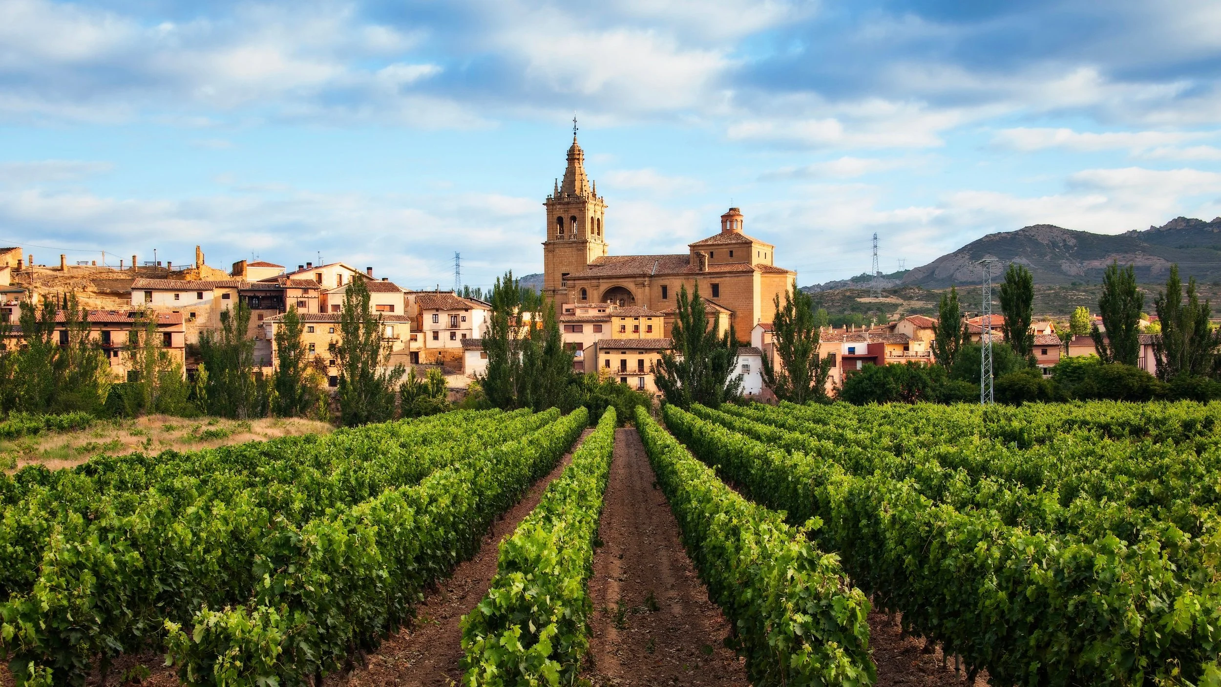 Spanish Wine Scholar: Rioja Masterclass
