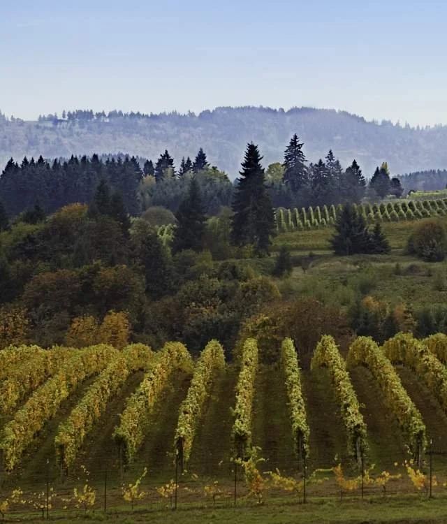 Atlas of Wine: Oregon