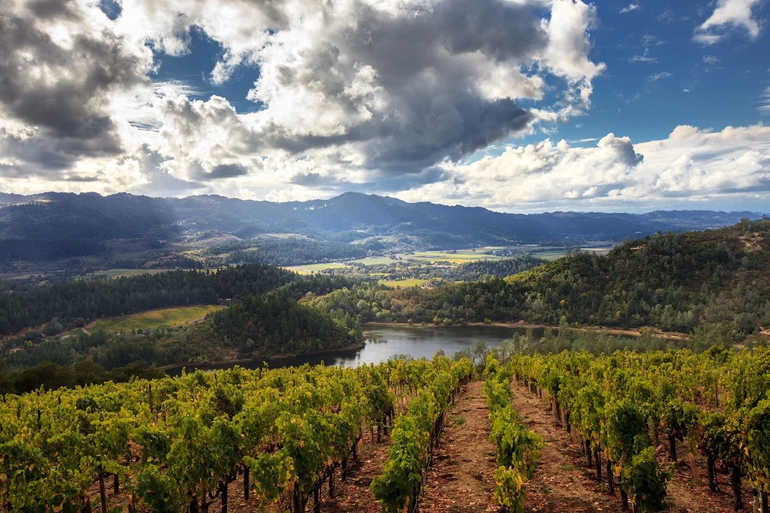 USA 250: Wines of California