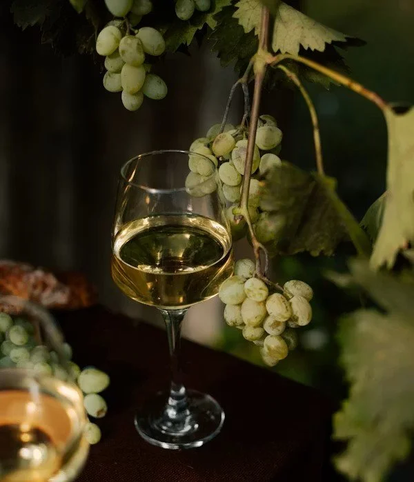 Grape to Glass: Riesling
