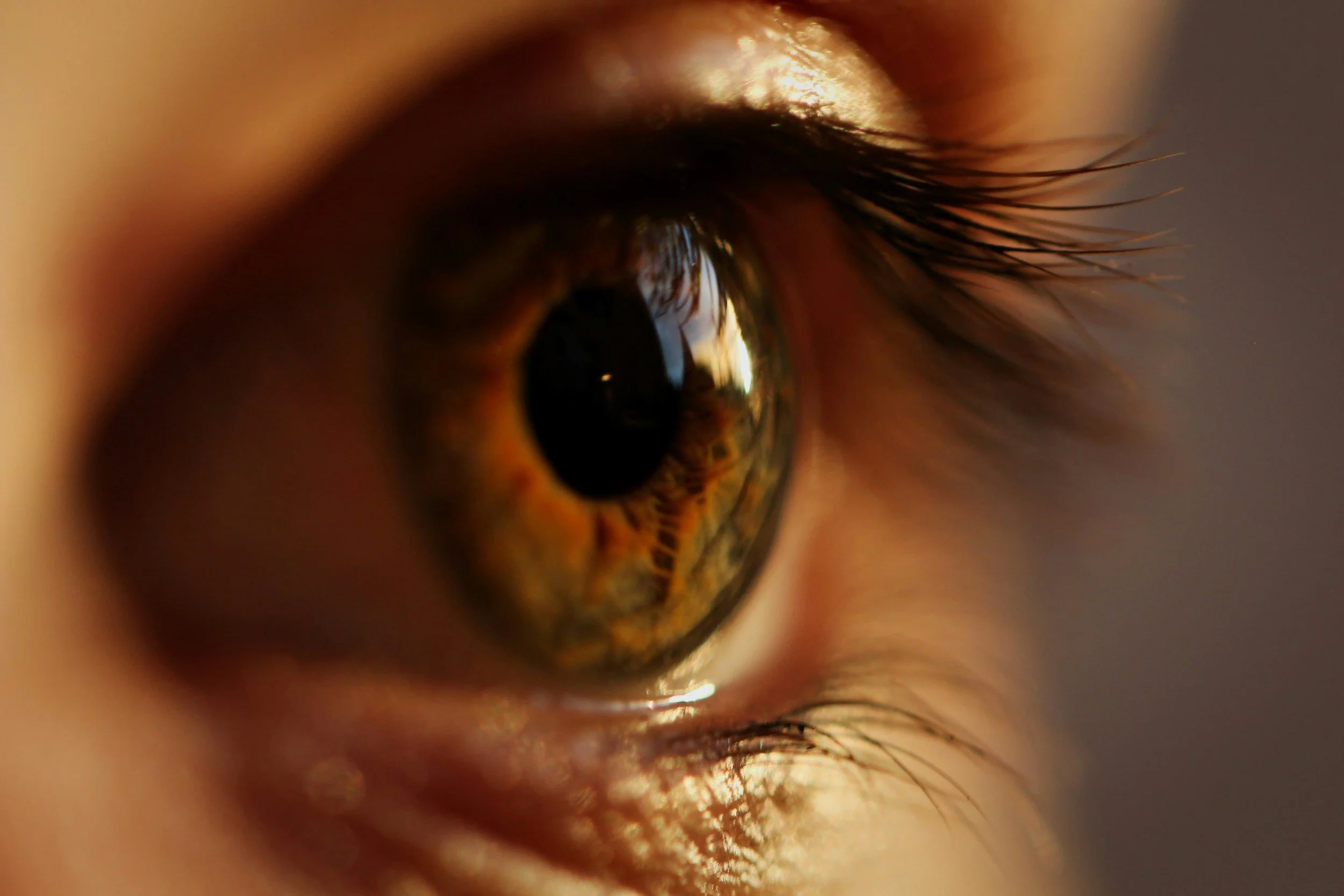 Where You Look Impacts How You Feel: A Deep Dive into Brainspotting and Subcortical Healing