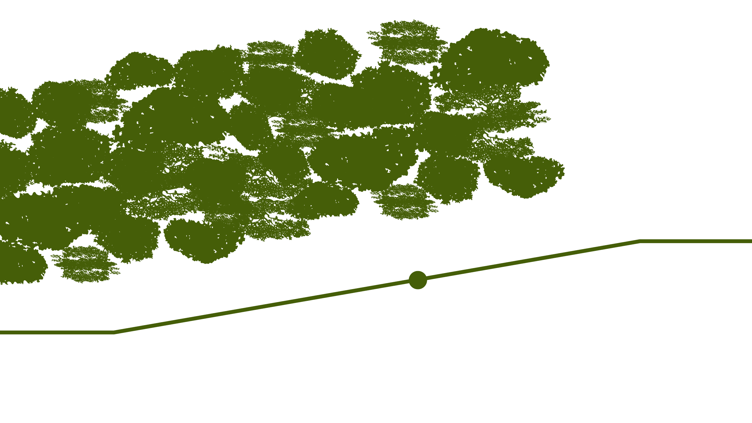 carbon workflow-12.png