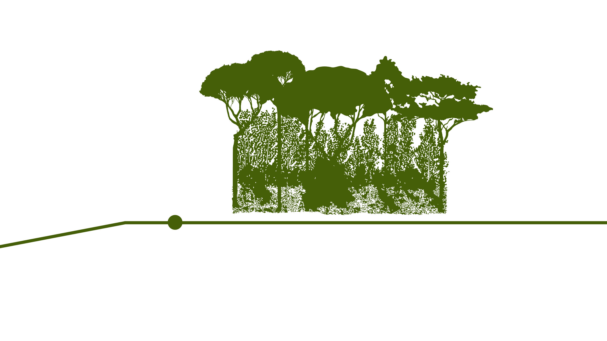 carbon workflow-05.png