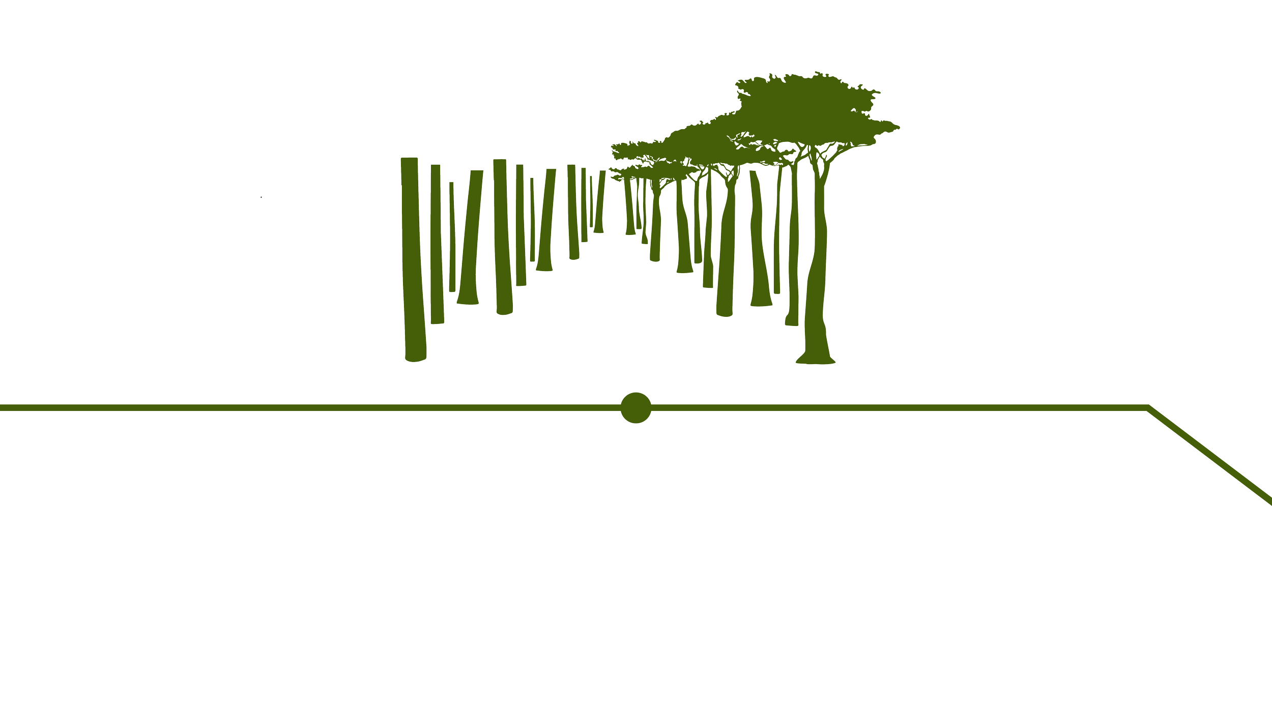 carbon workflow-14.png