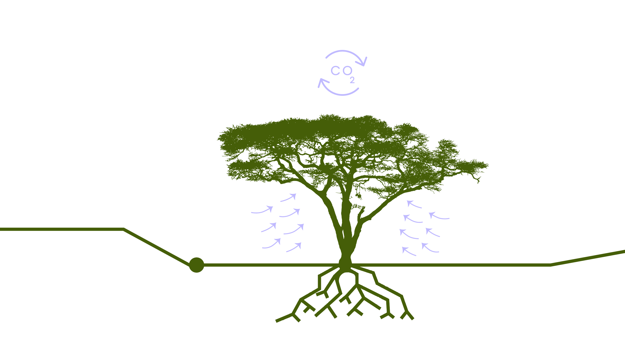 carbon workflow-06.png