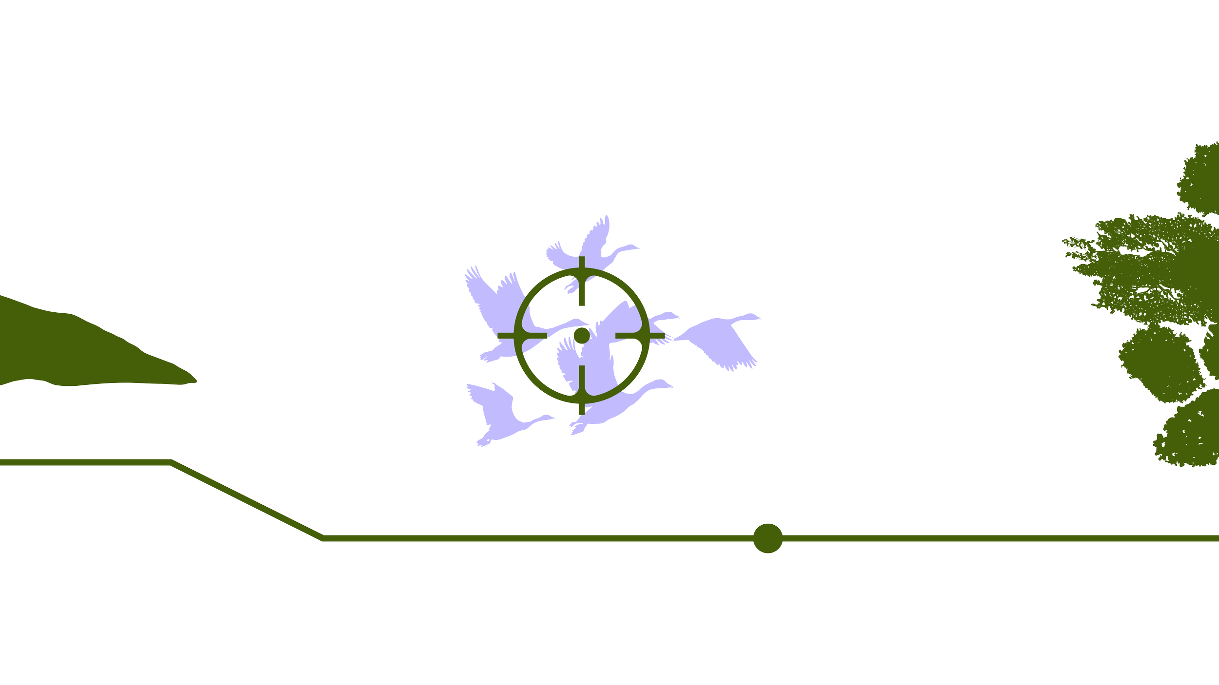 carbon workflow-11.png