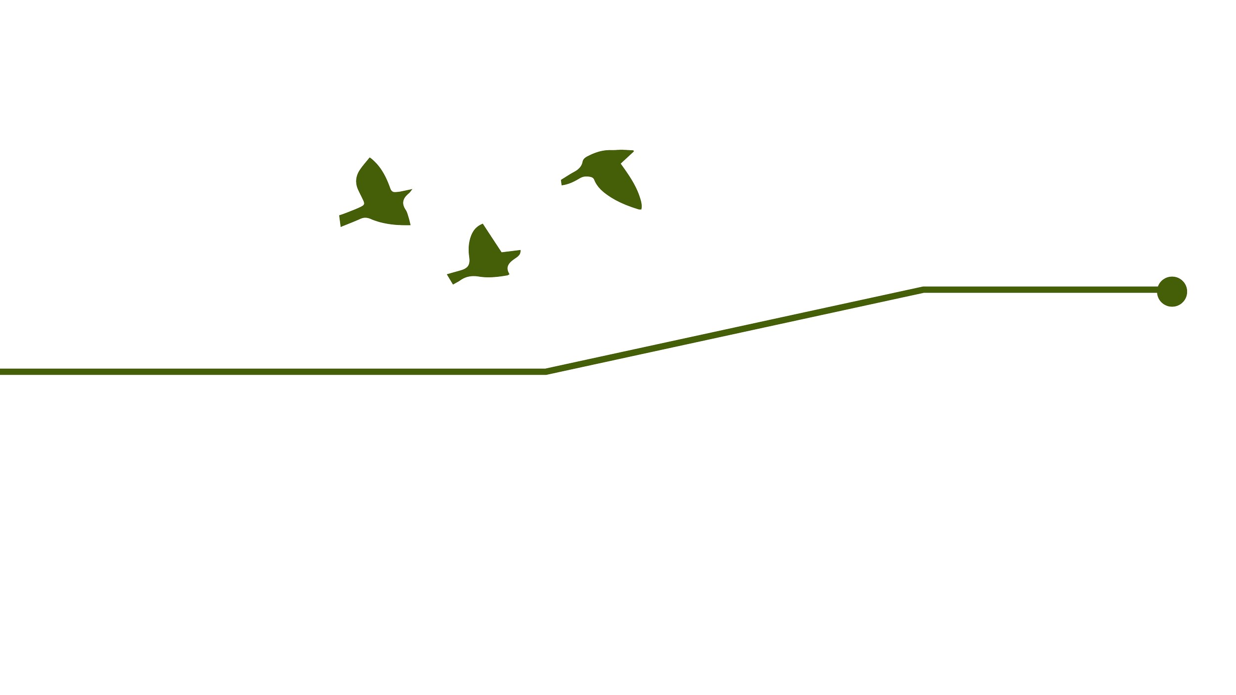 carbon workflow-15.png