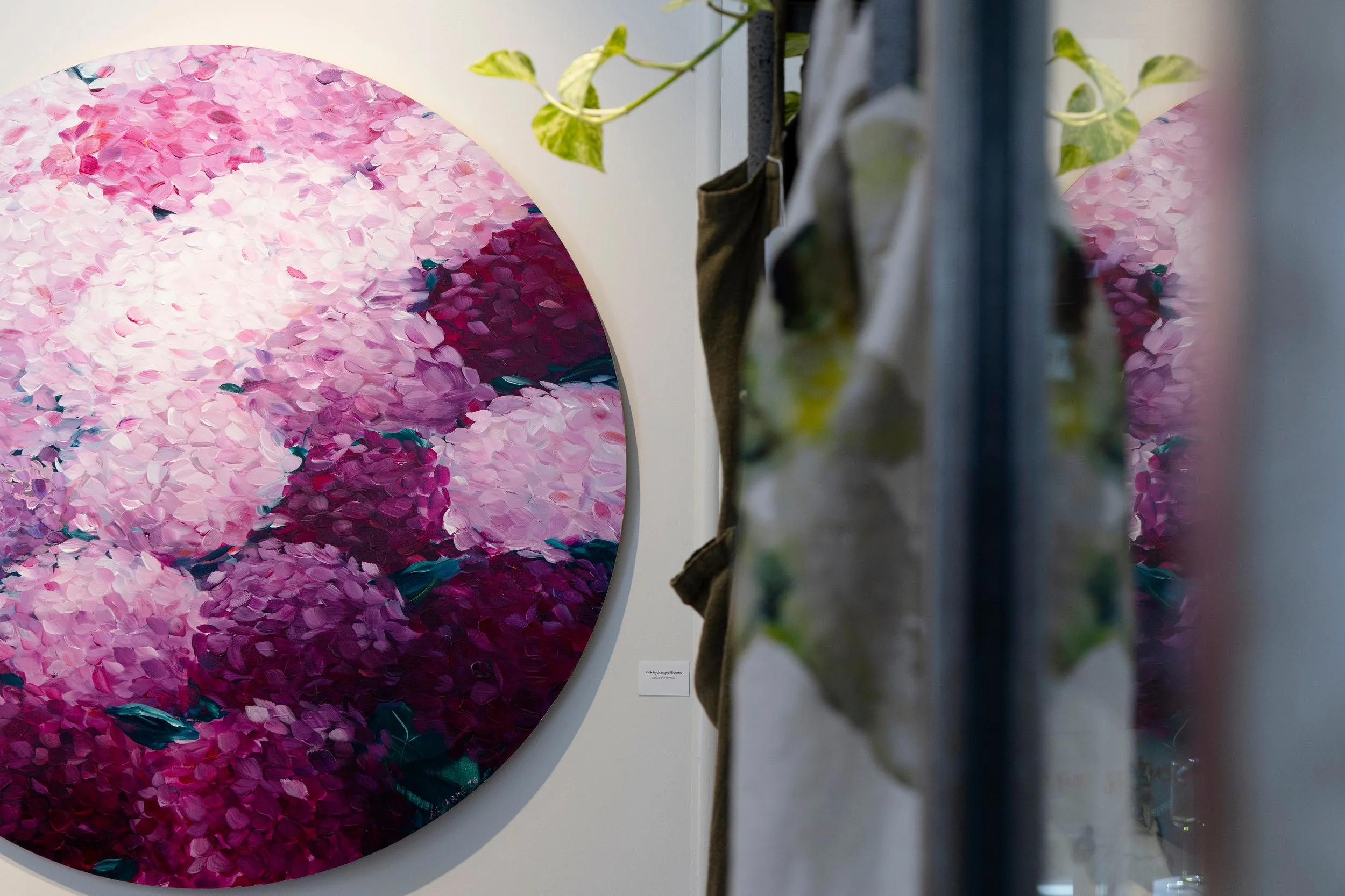 Pink-hydragea.jpg