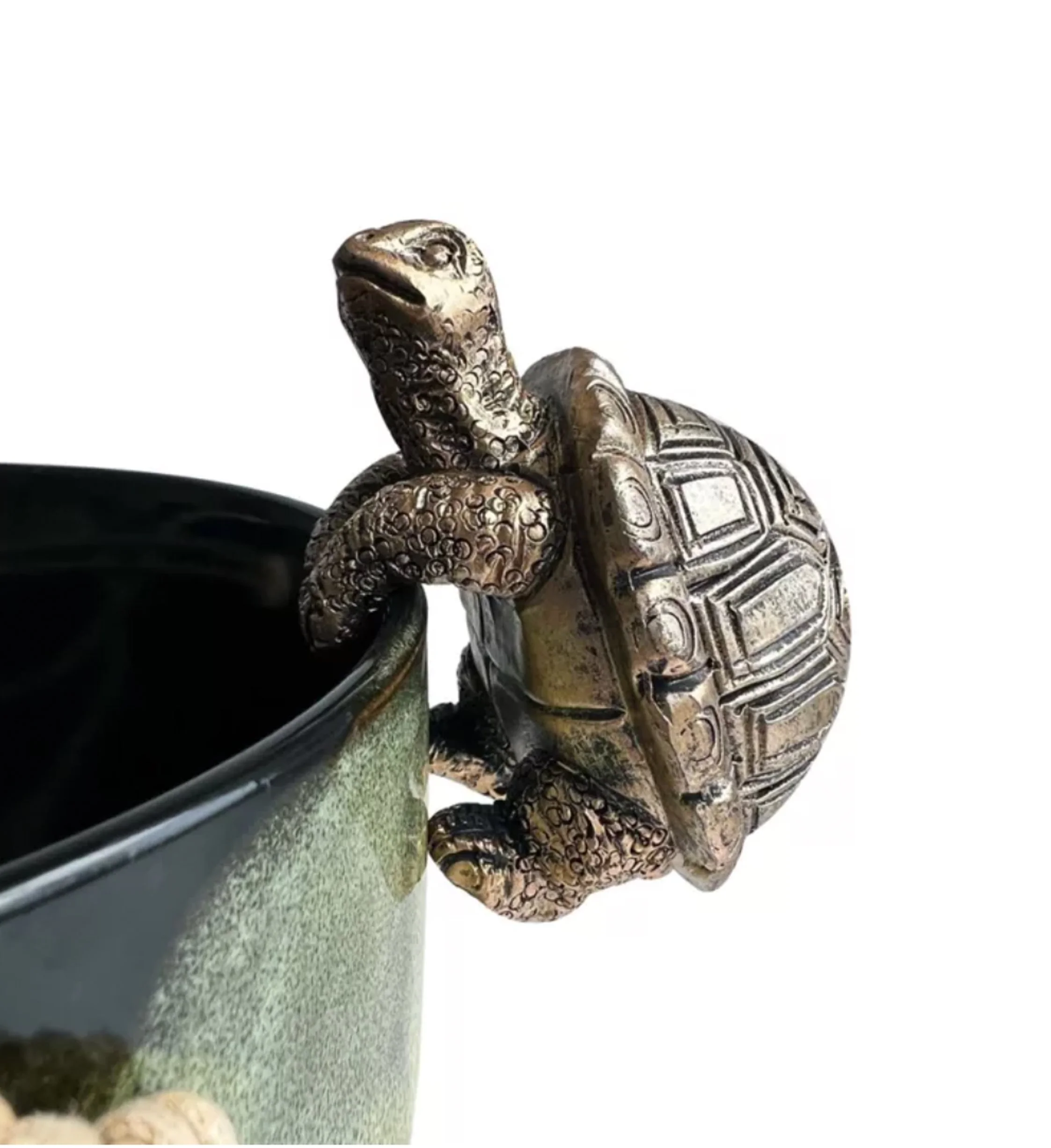 Tortoise Hanging Rim I