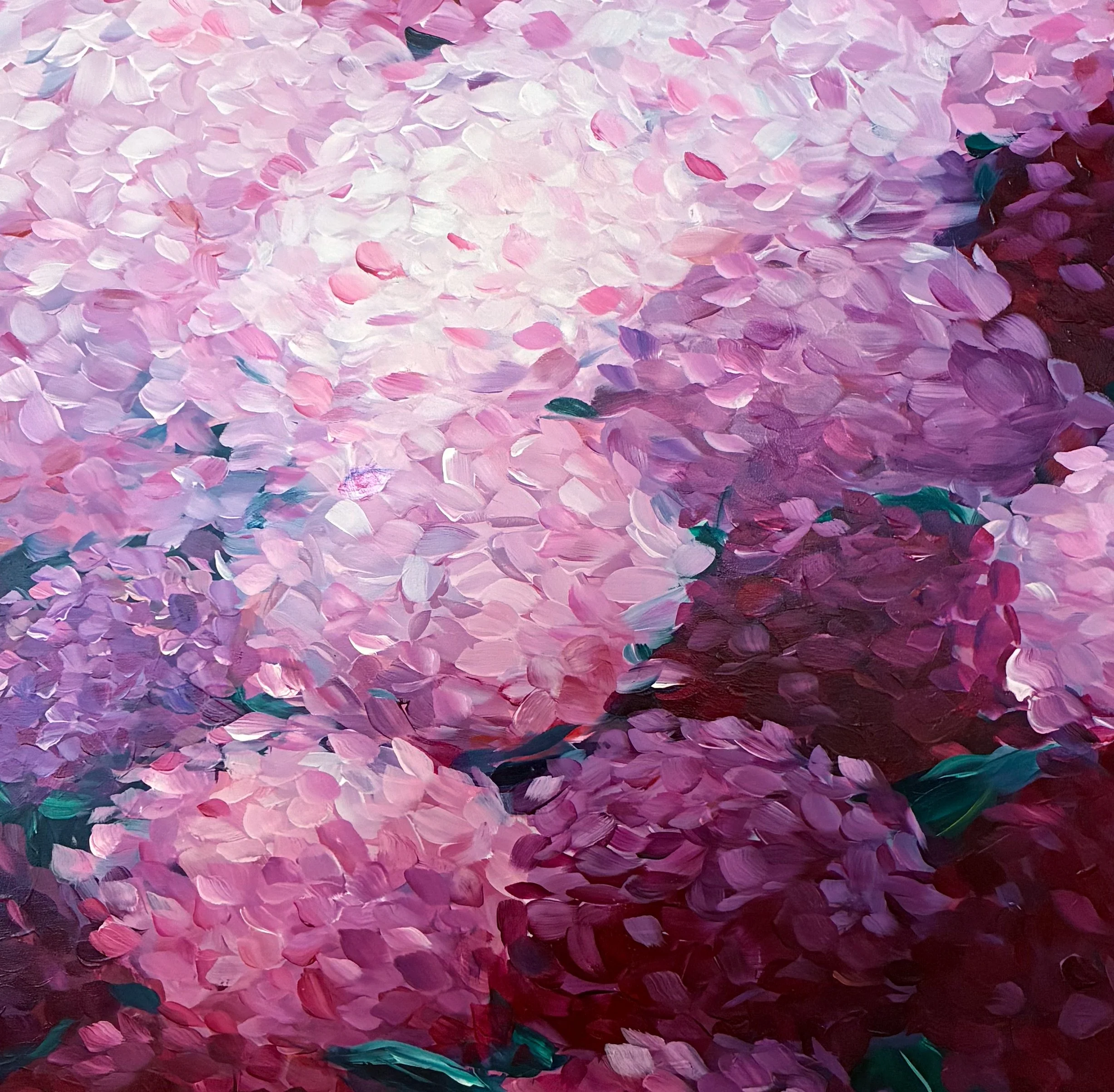 Pink-Hydrangea-Blooms-Detail.jpg