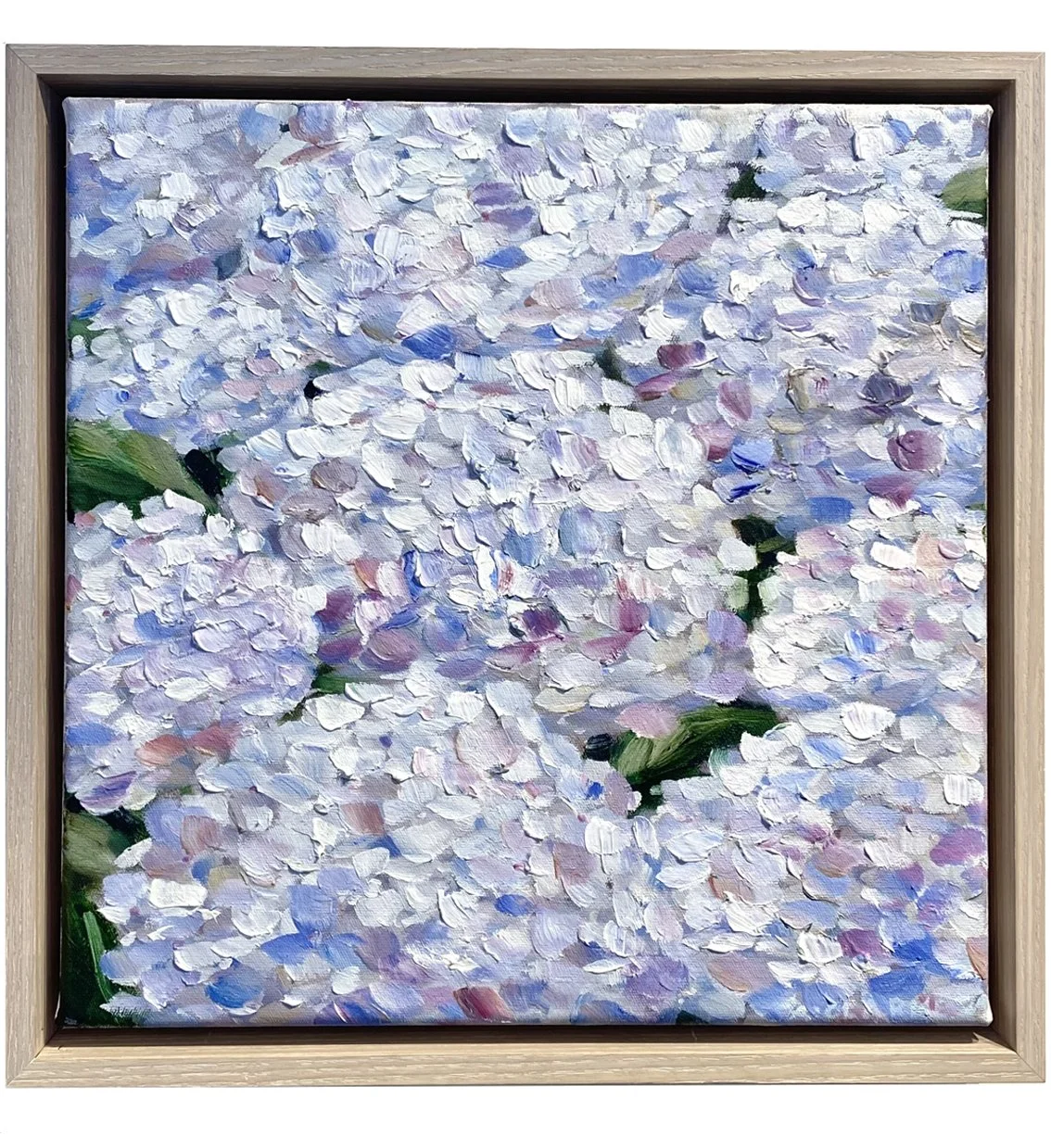 Pale Melody_hydrangea painting by Alana Clarke.jpg