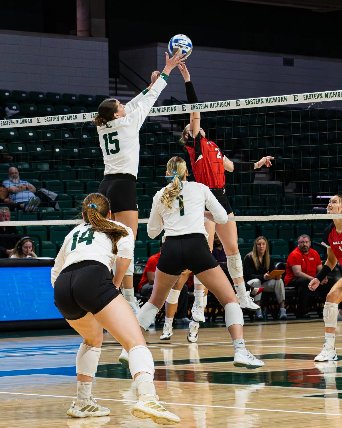 IMG_2822-19.JPG