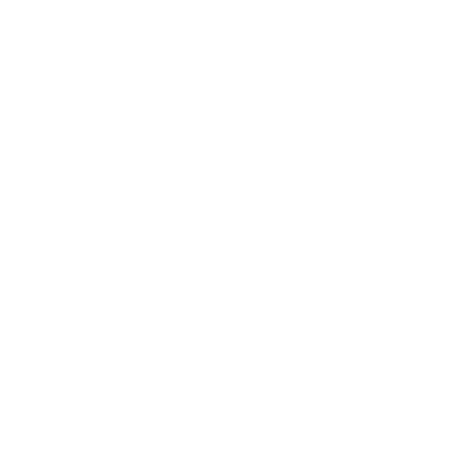 google icon.png