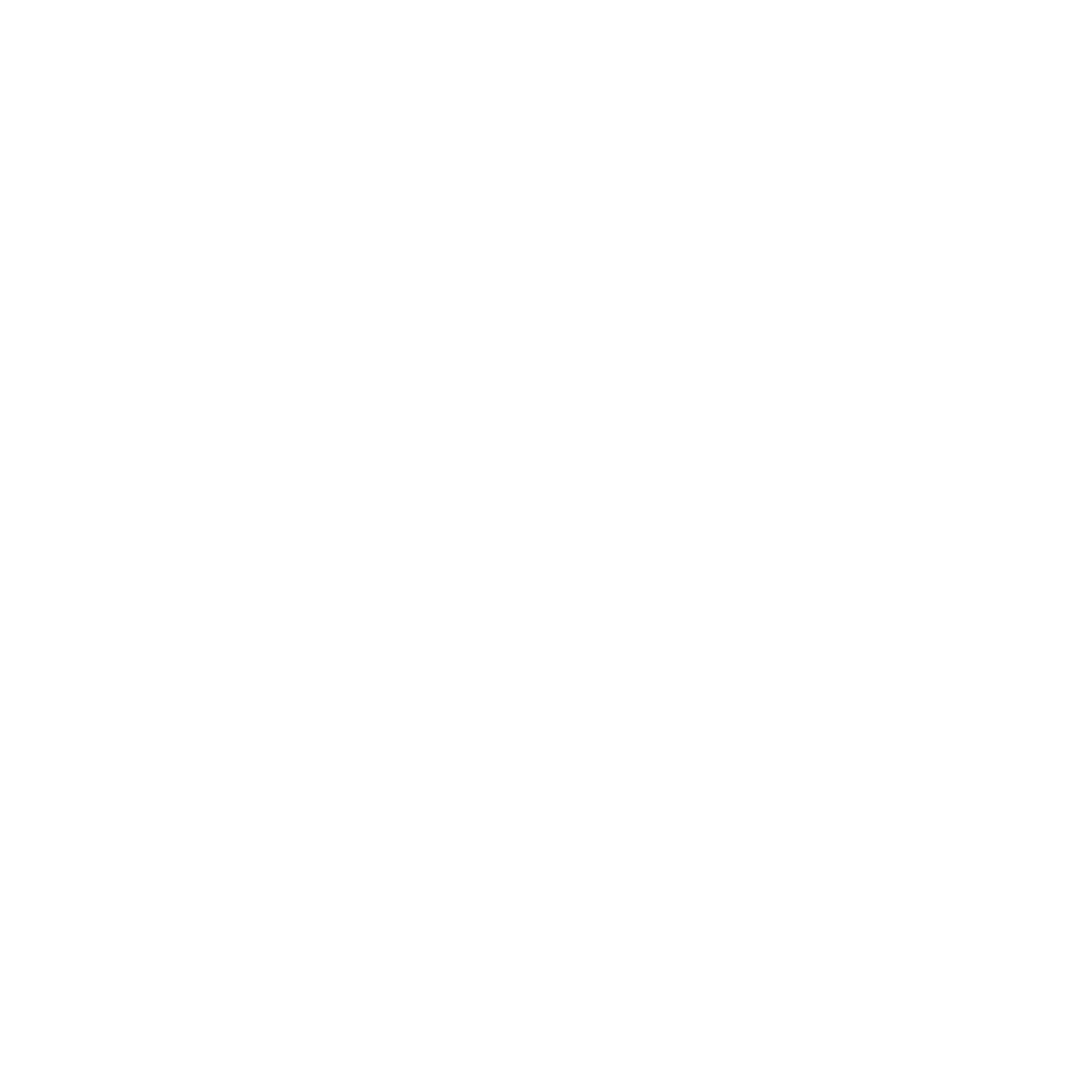 programming icon white.png