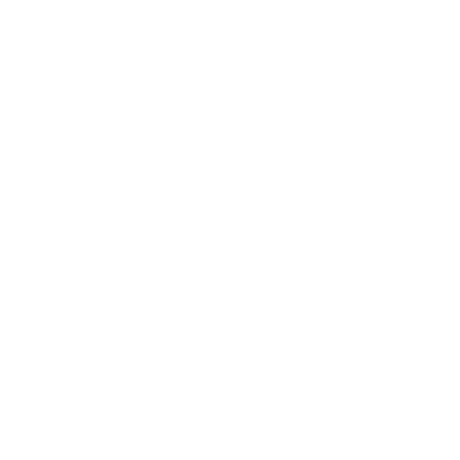 wordpress icon whitel.png