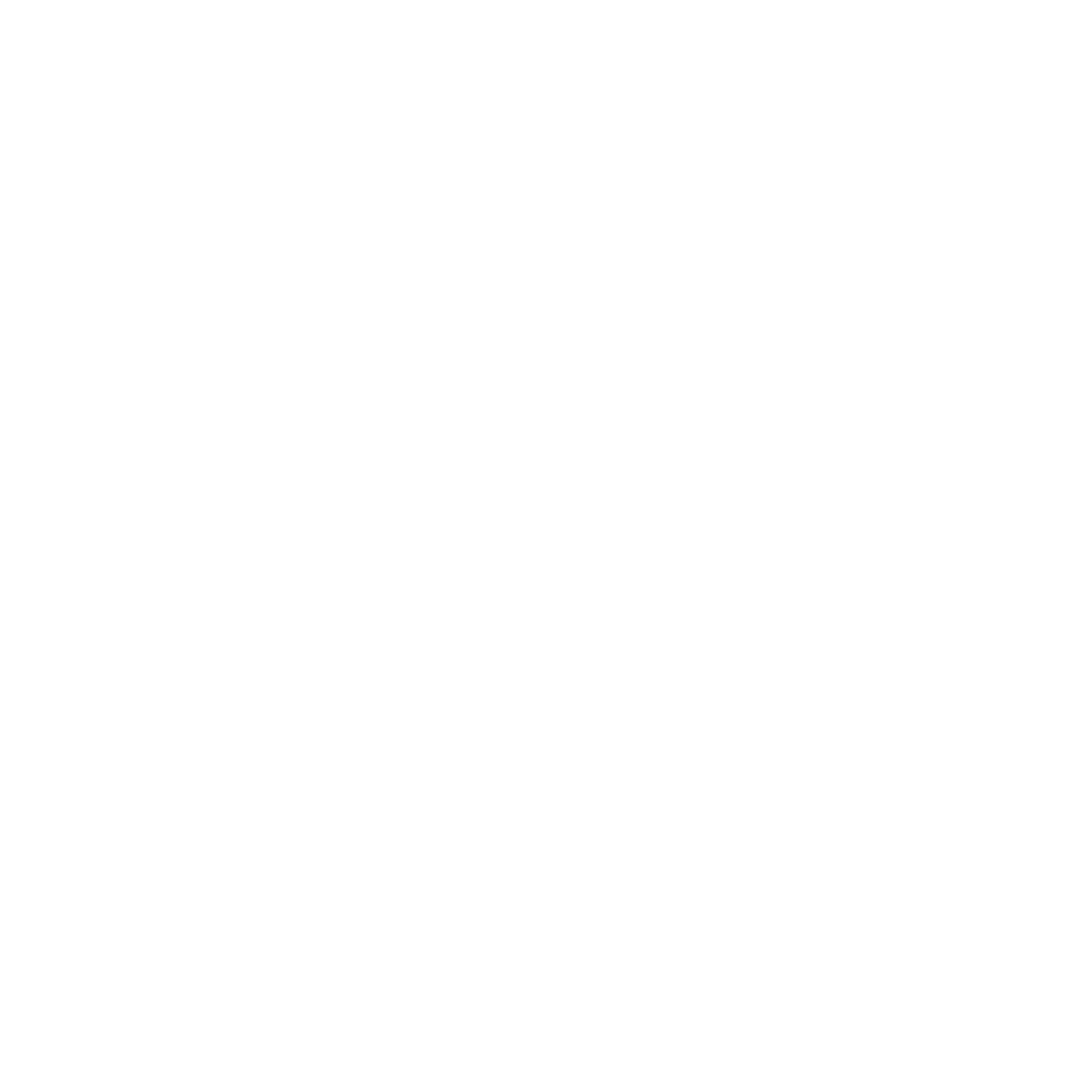 tiktok icon.png