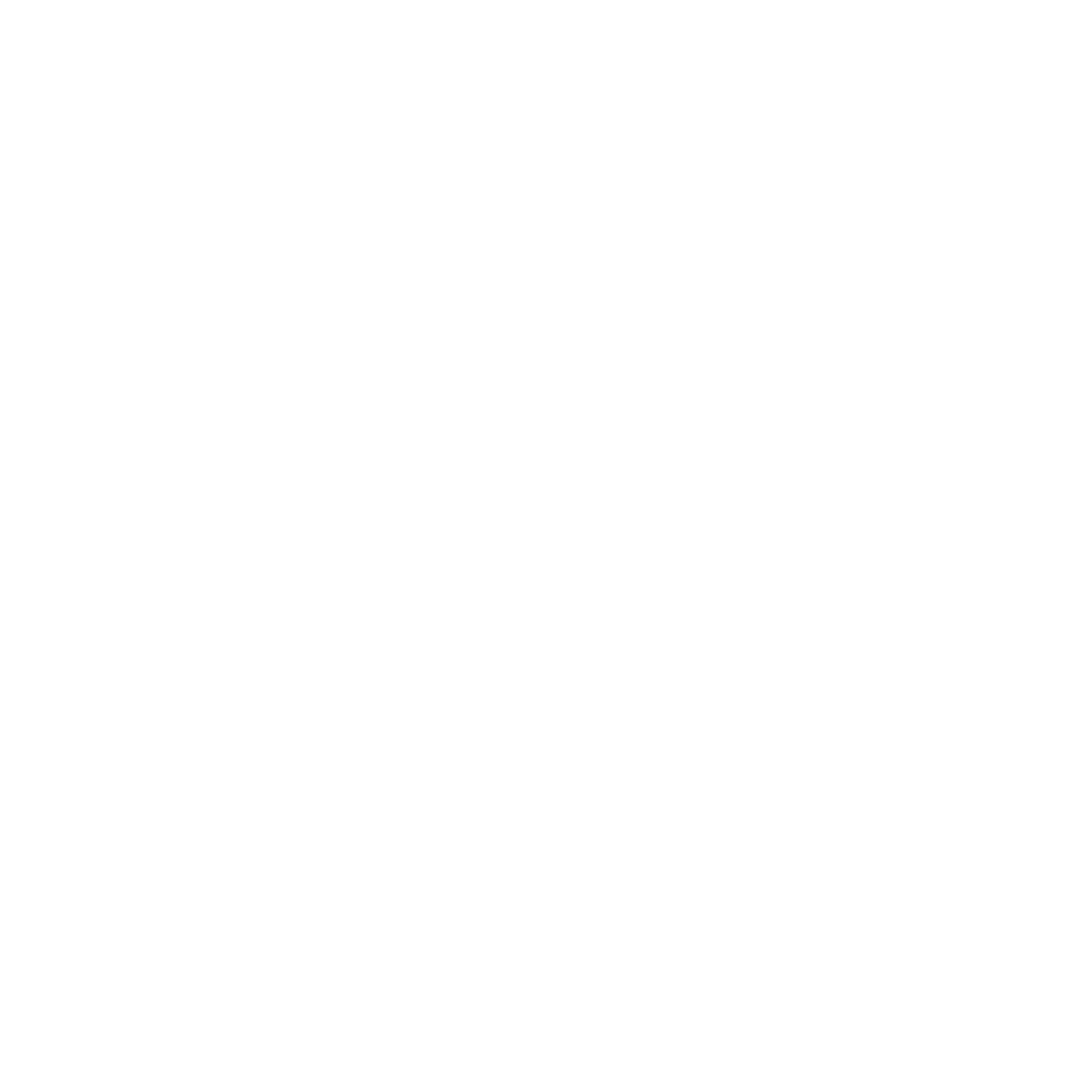 shopify white png icon.png