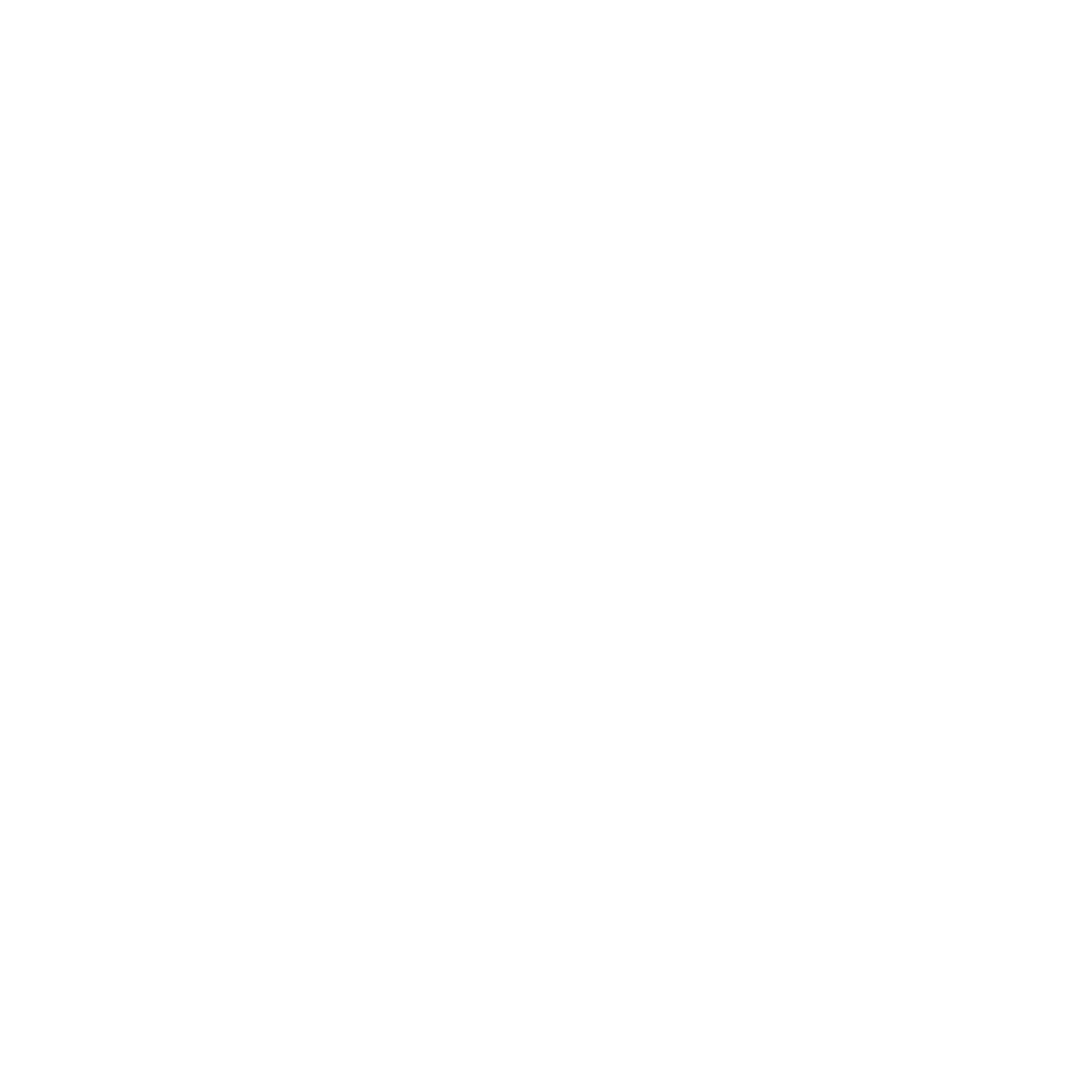 salesforce icon white.png